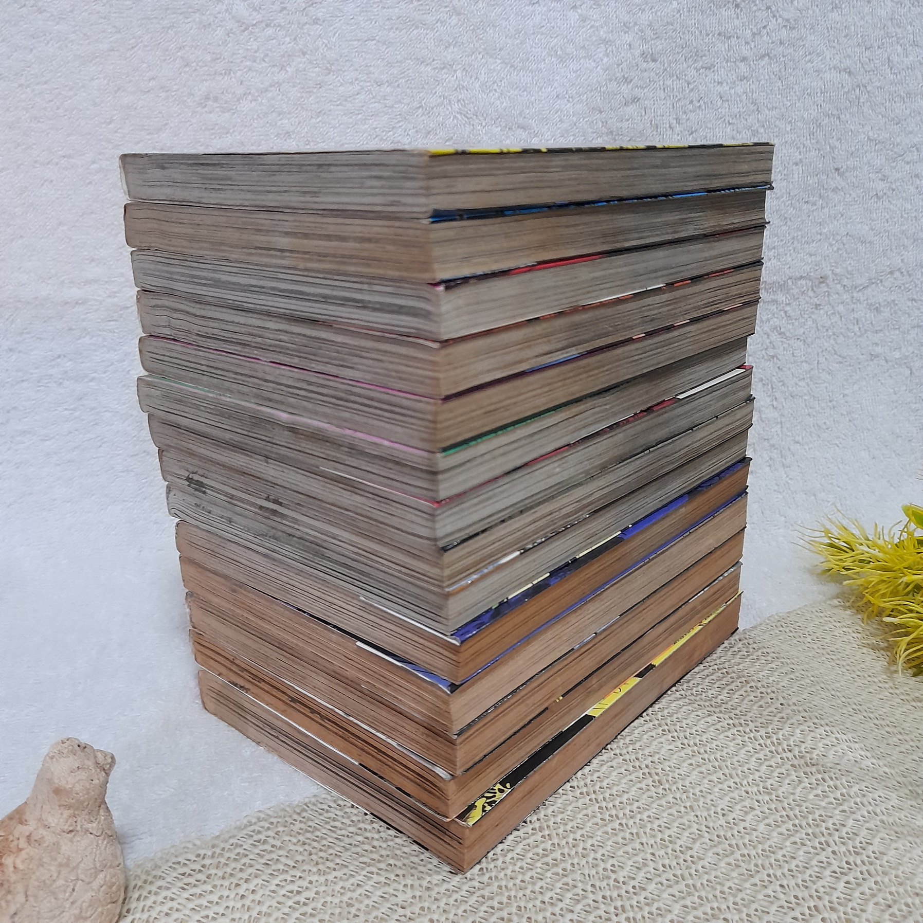 Shibatora ลางสังหาร 1-15 จบ