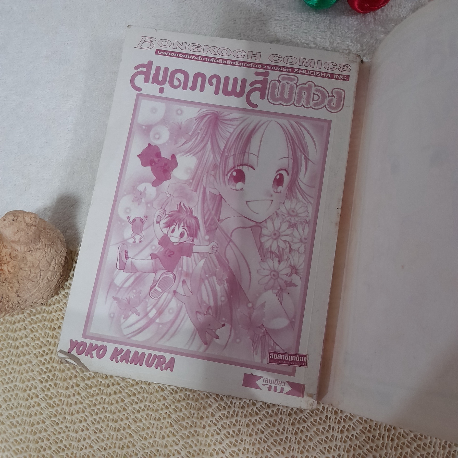 สมุดภาพสีพิศวง / Yoko Kamura