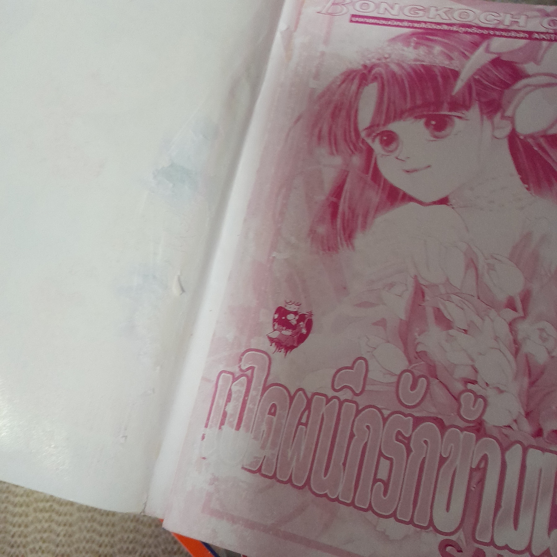 เปิดผนึกรักข้ามเวลา 1-10 จบ / SALADA