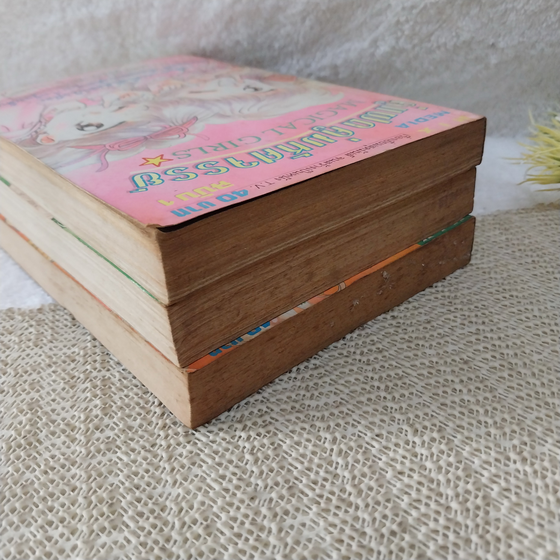 คู่แฝด คู่มหัศจรรย์ 1-3 ไม่จบ / *ขาดเล่ม 4