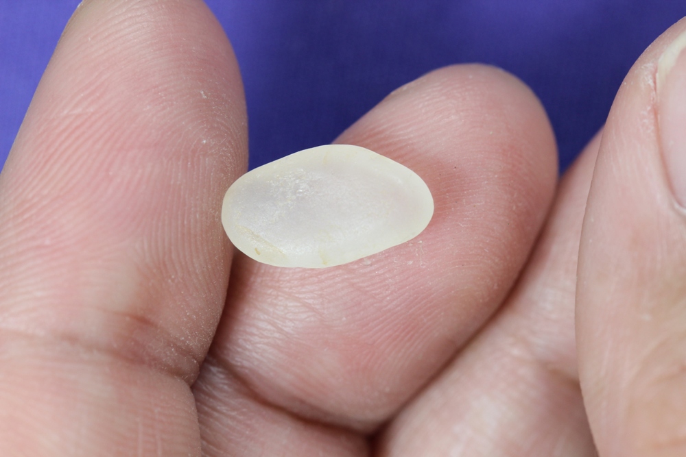 ปฐวีธาตุ หลวงปู่คำพันธ์ เม็ดที่2