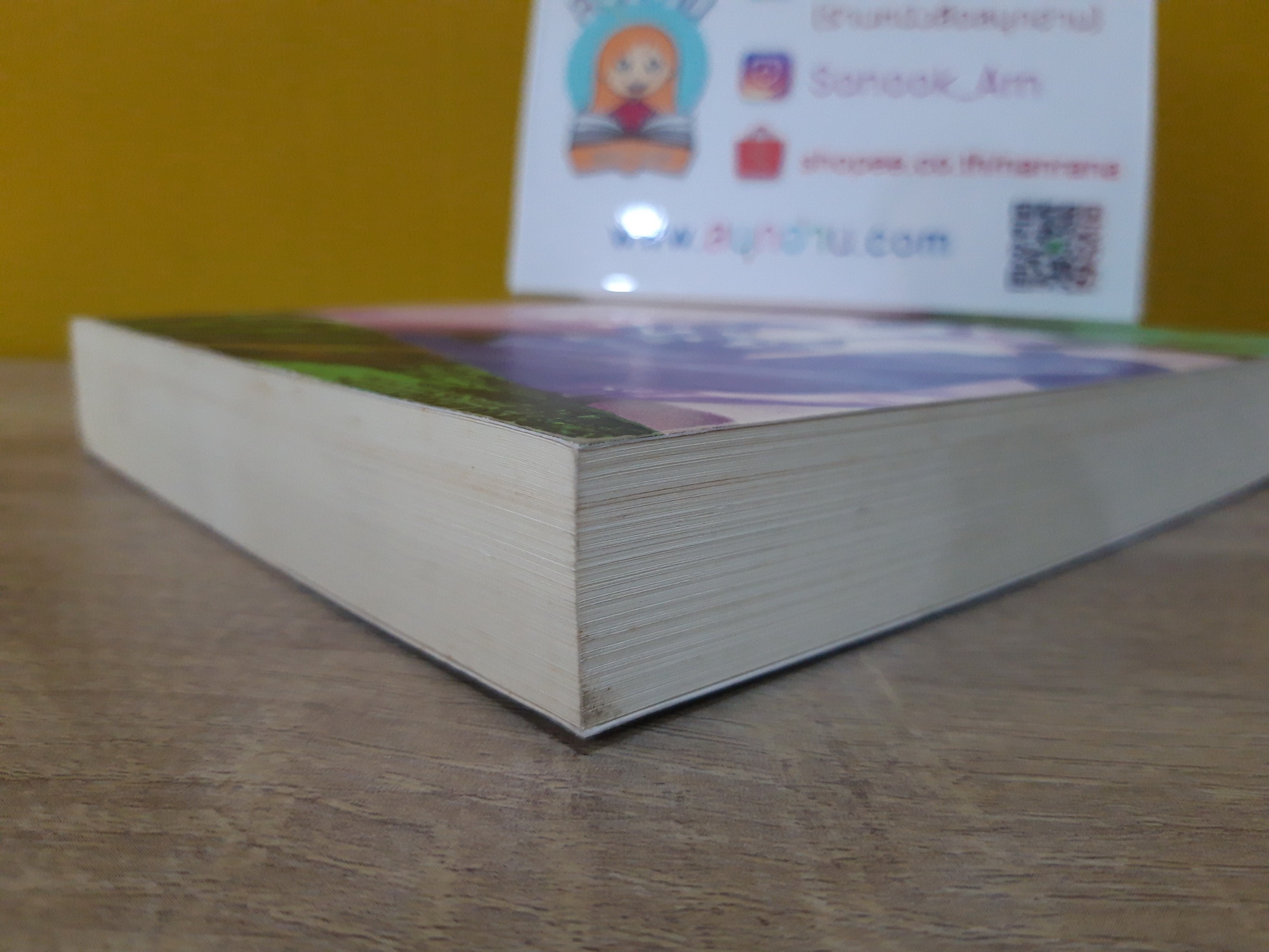 กลรักลวงใจ / ณารา