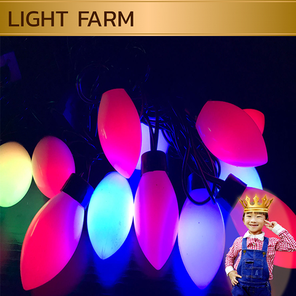 ไฟคริสมาส ไฟปีใหม่ ไฟแฟนซี 20 LED