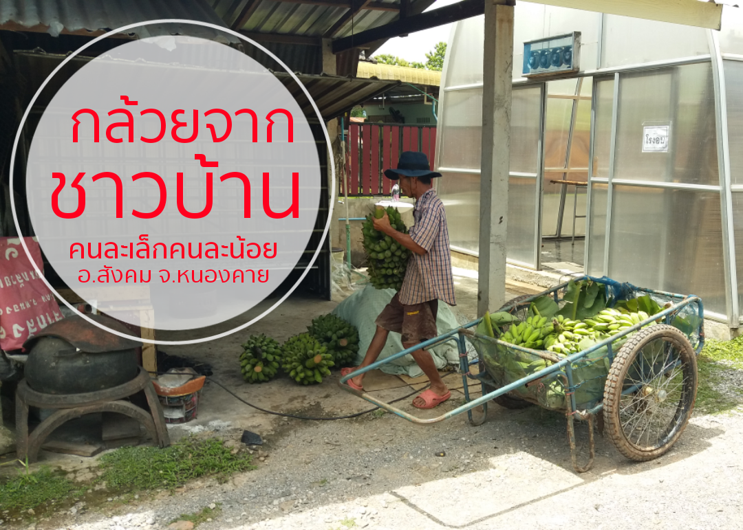 กล้วยฉาบ-ริมโขง (หวานน้อย) 1 kg.