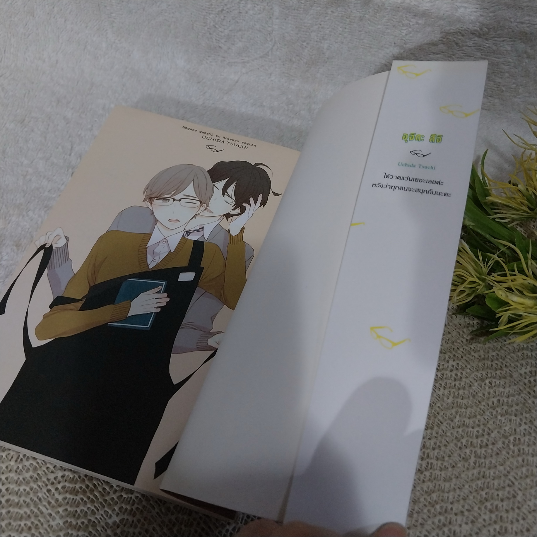 รักหมดใจนายแว่นร้านหนังสือ / UCHIDA TSUCHI