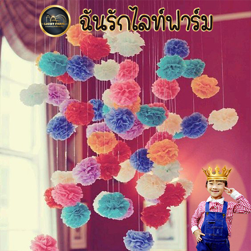 โคมกระดาษ , พู่กระดาษ ,ธงราวปาร์ตี้ ของตกแต่งแบบต่างๆ