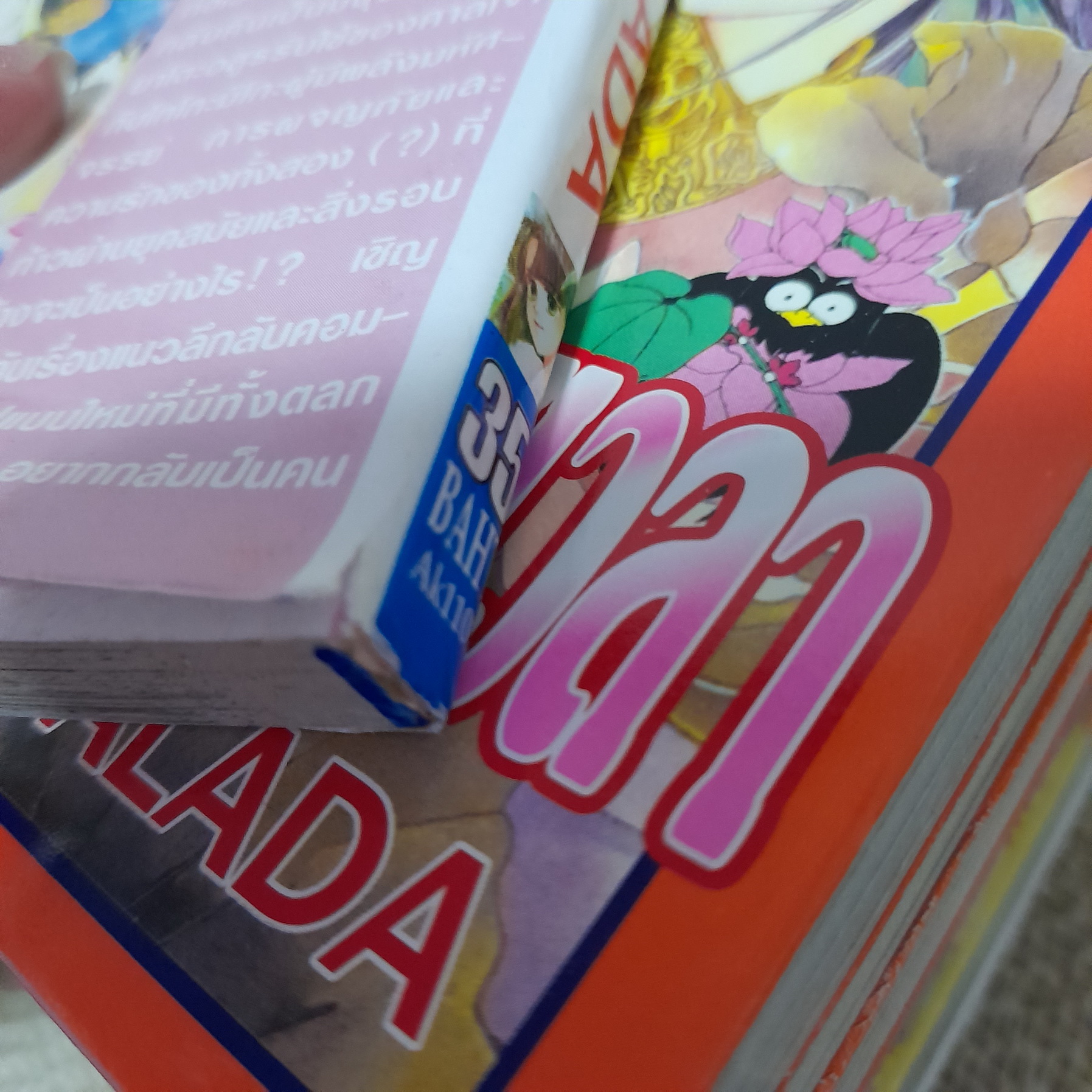 เปิดผนึกรักข้ามเวลา 1-10 จบ / SALADA