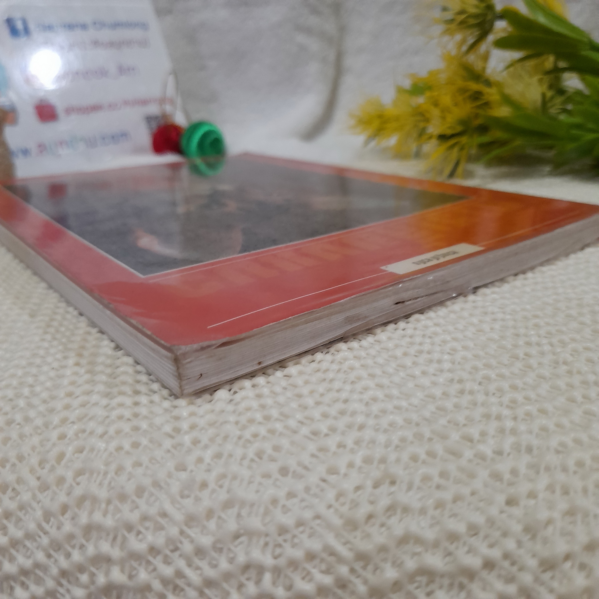 การเลี้ยงแมว / บัณฑิตย์ สุริยพันธ์