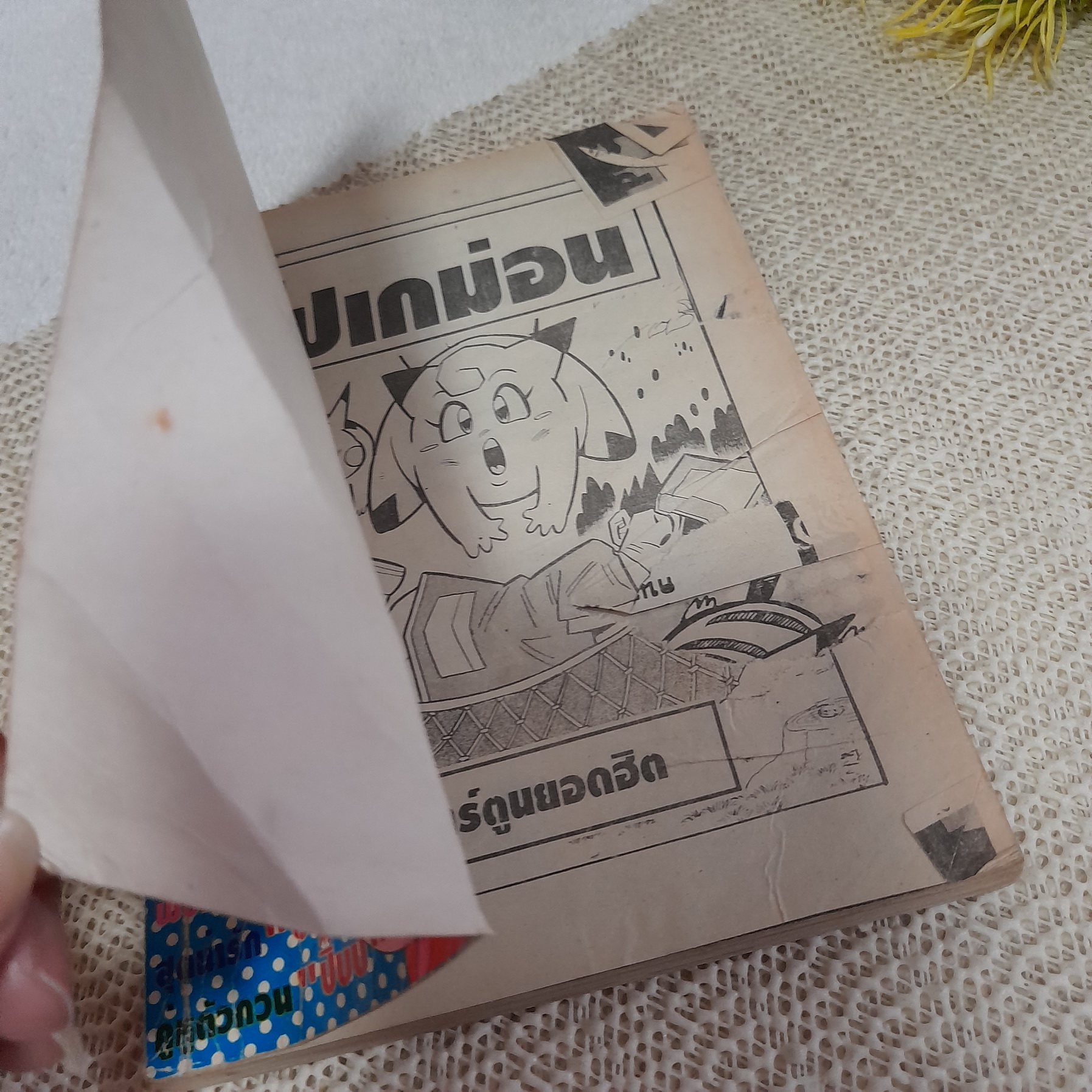 โปเกม่อน