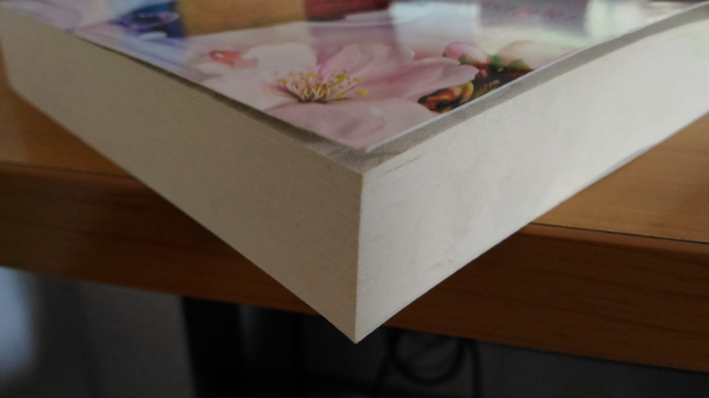 กระตุกหัวใจซาตาน / ฉัตรฤทัย