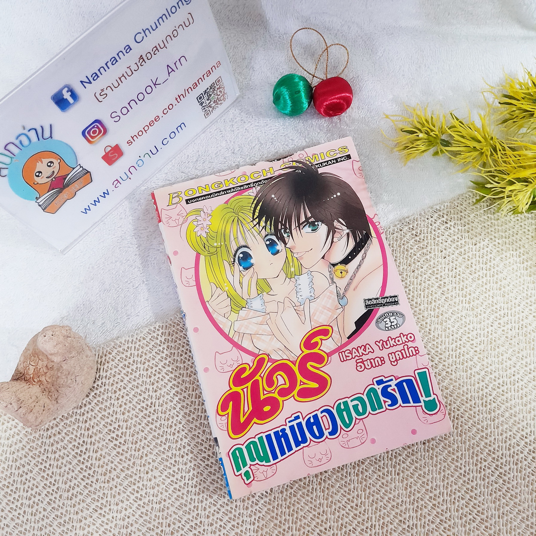 นัวร์ คุณเหมียวยอดรัก / Iisaka Yukako