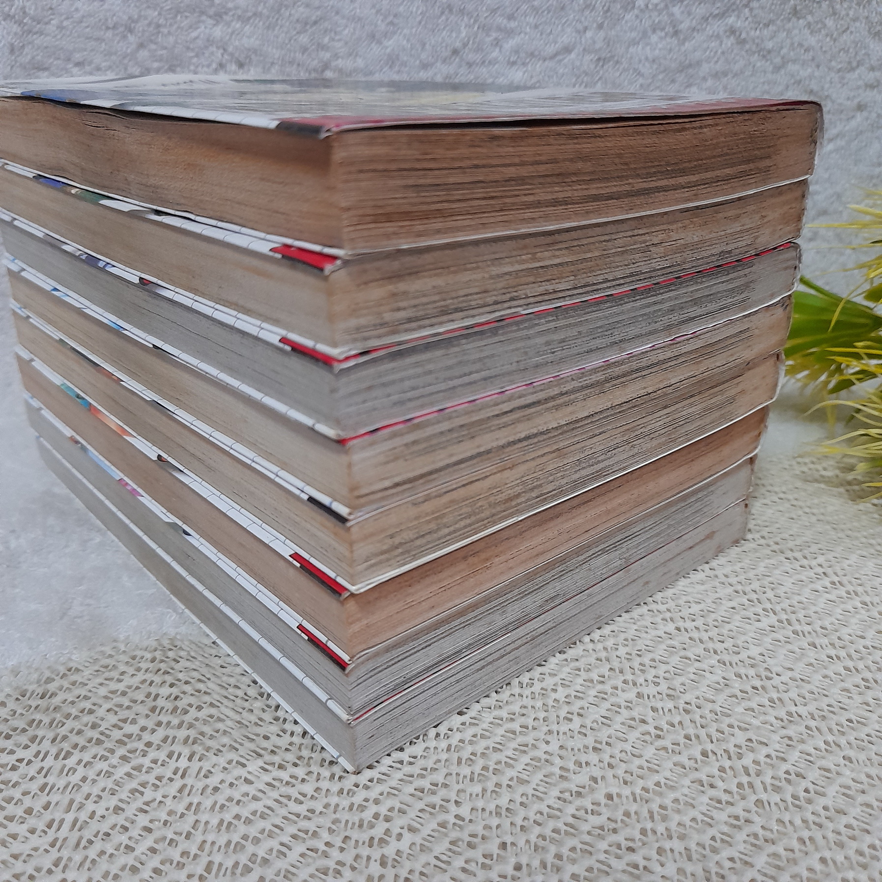 มือขวากับขาโจ๋ 1-8 จบ