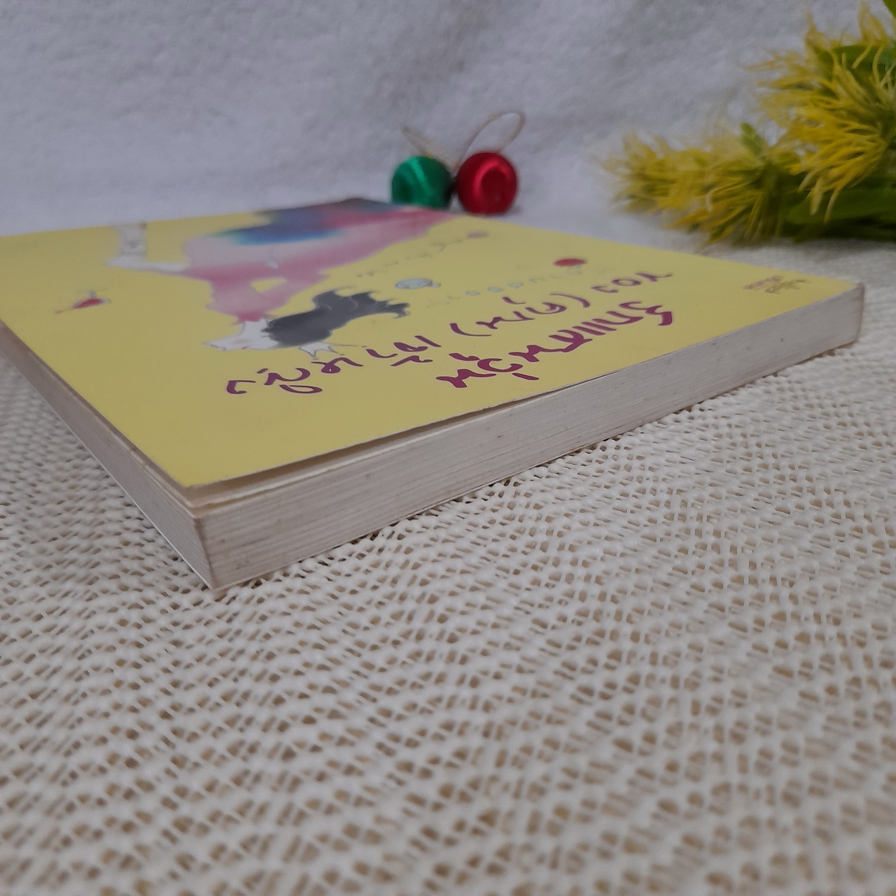 รักแสนวุ่นของ (คุณ) เจ้าหญิง / กานต์จิรา