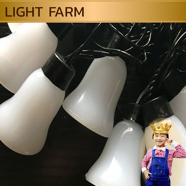 ไฟคริสมาส ไฟปีใหม่ ไฟแฟนซี 20 LED