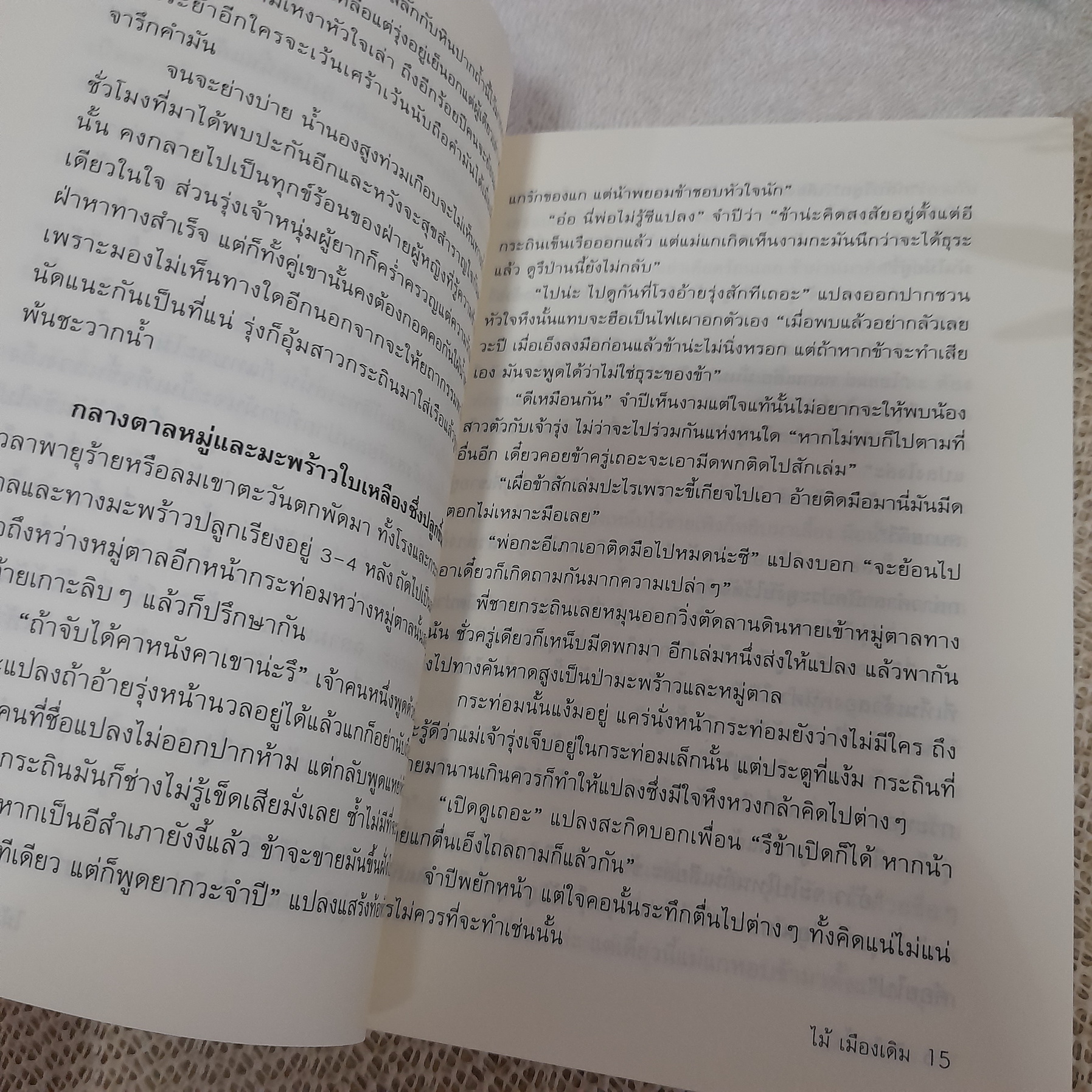 สินในน้ำ / ไม้ เมืองเดิม