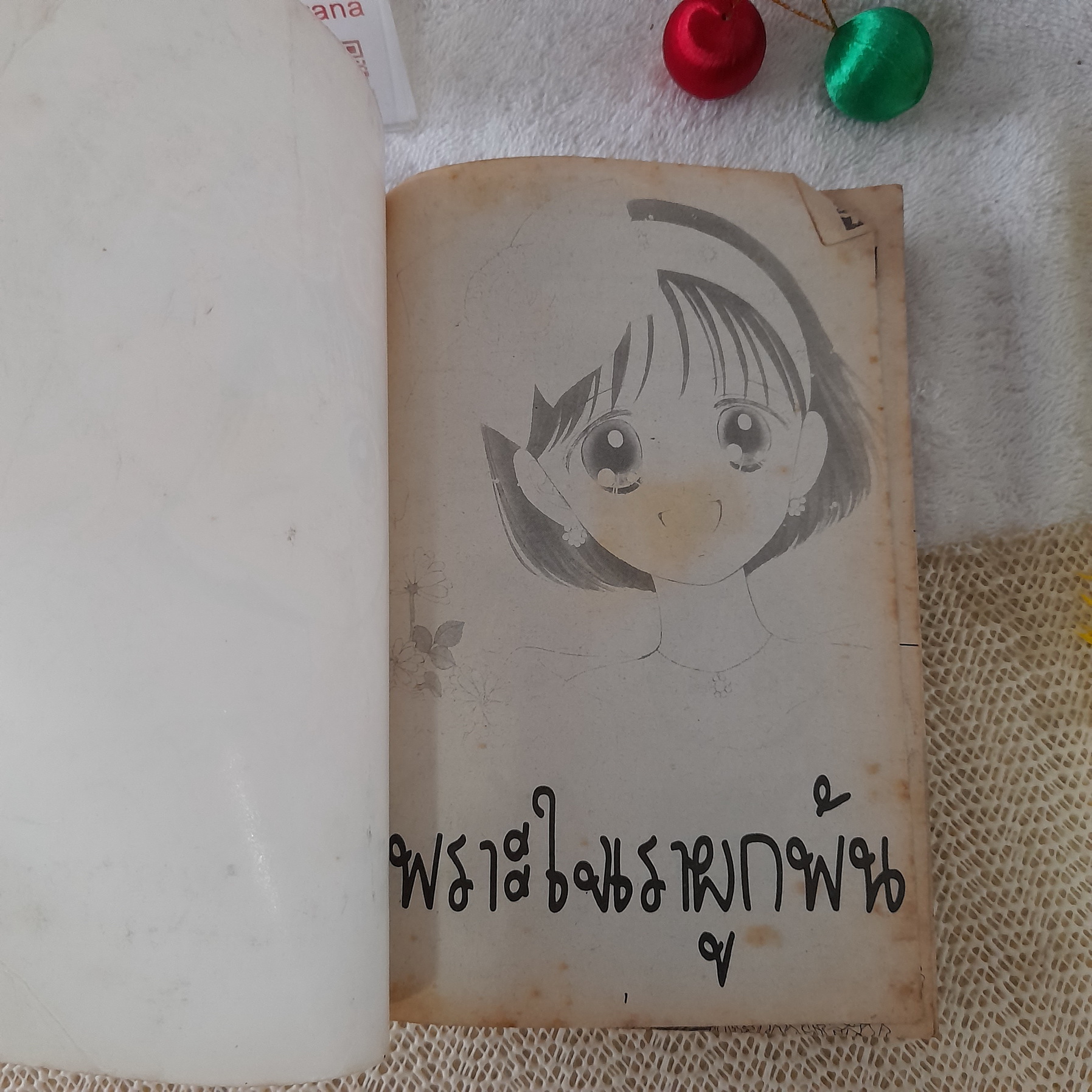 เพราะใจเราผูกพัน / Mizusawa Megumi