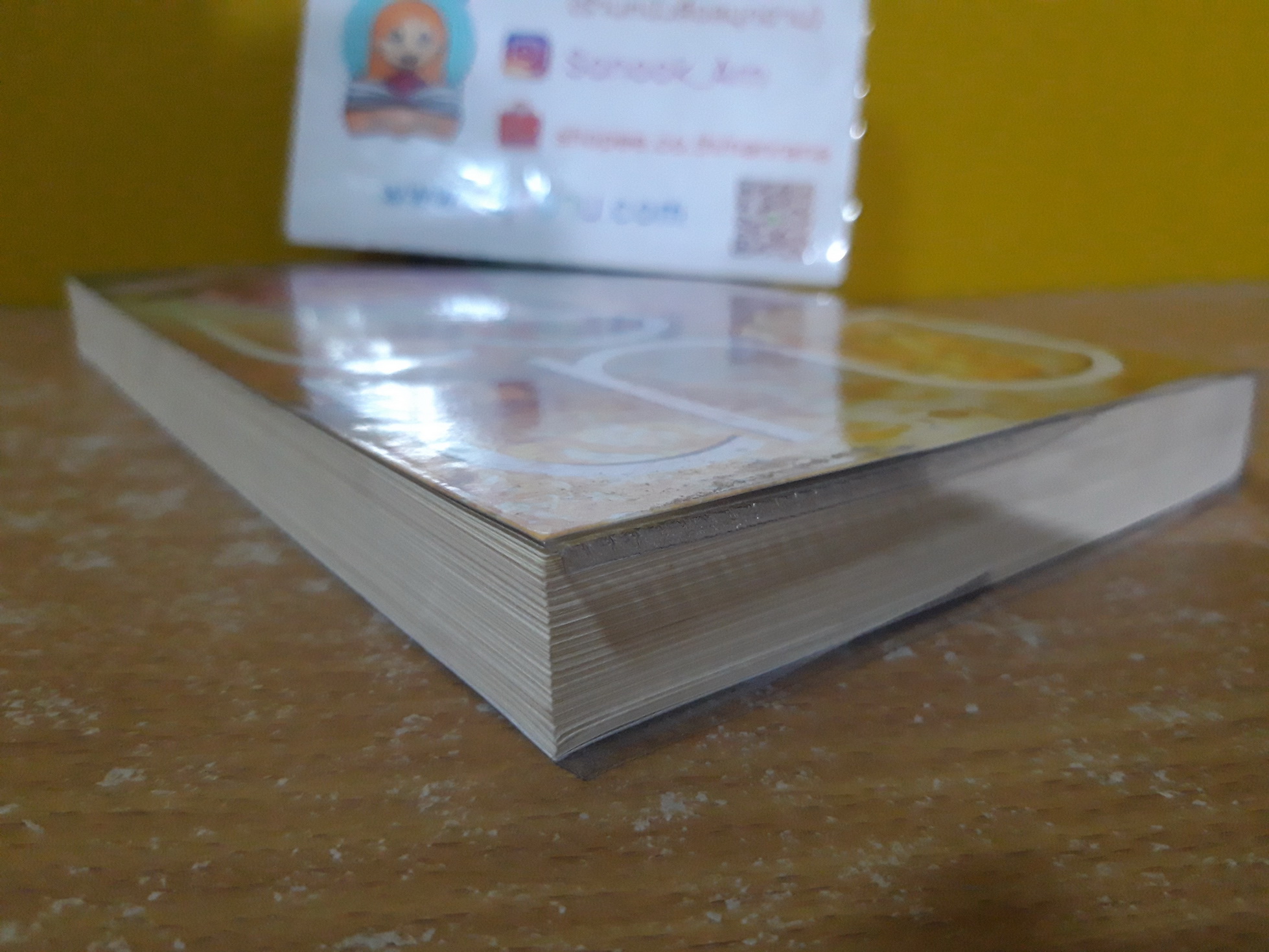เจ้านาง / ณารา