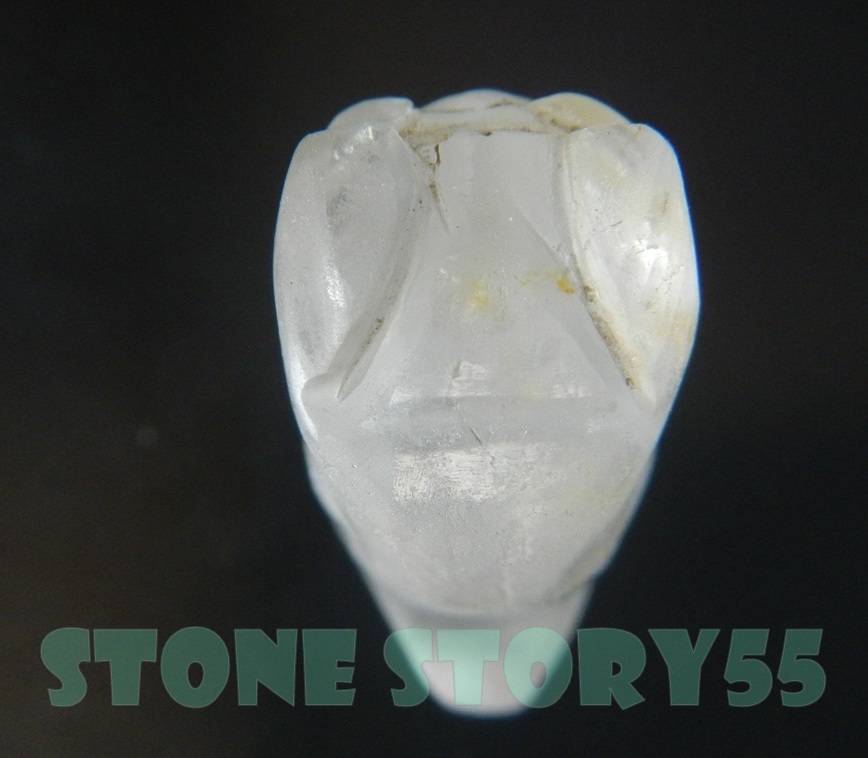 ลูกปัดแมวน้อย