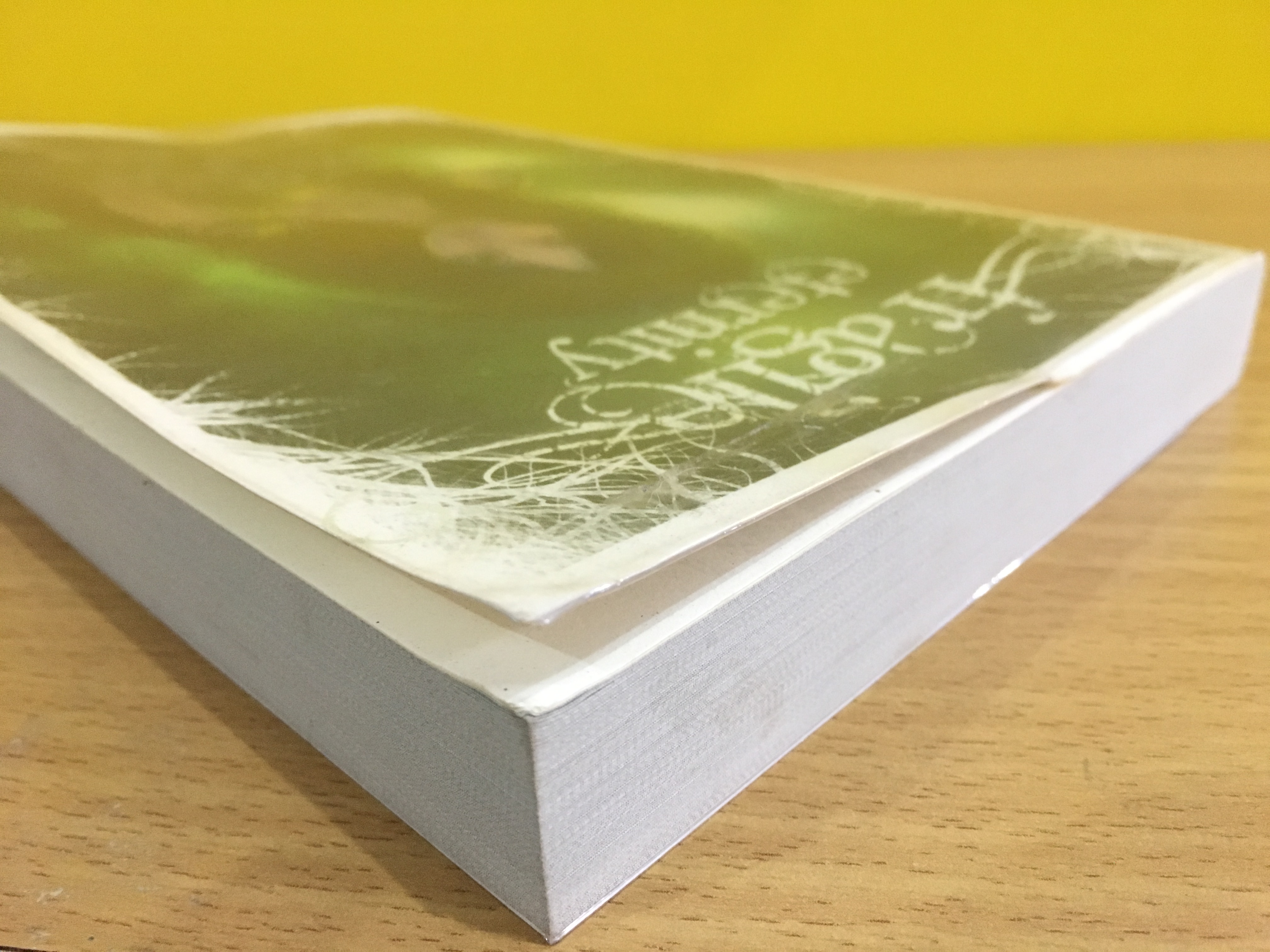 Fragile Eternity มนตราแห่งนิรันดร์ (Wicked Lovely เล่ม 3)