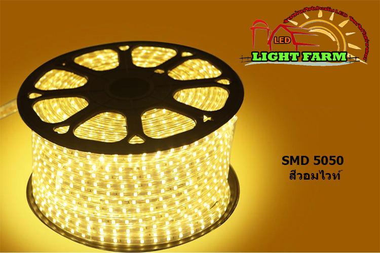 ไฟสายยาง SMD 5050 (50 m.) สีวอมไวท์ (ท่อแบน)