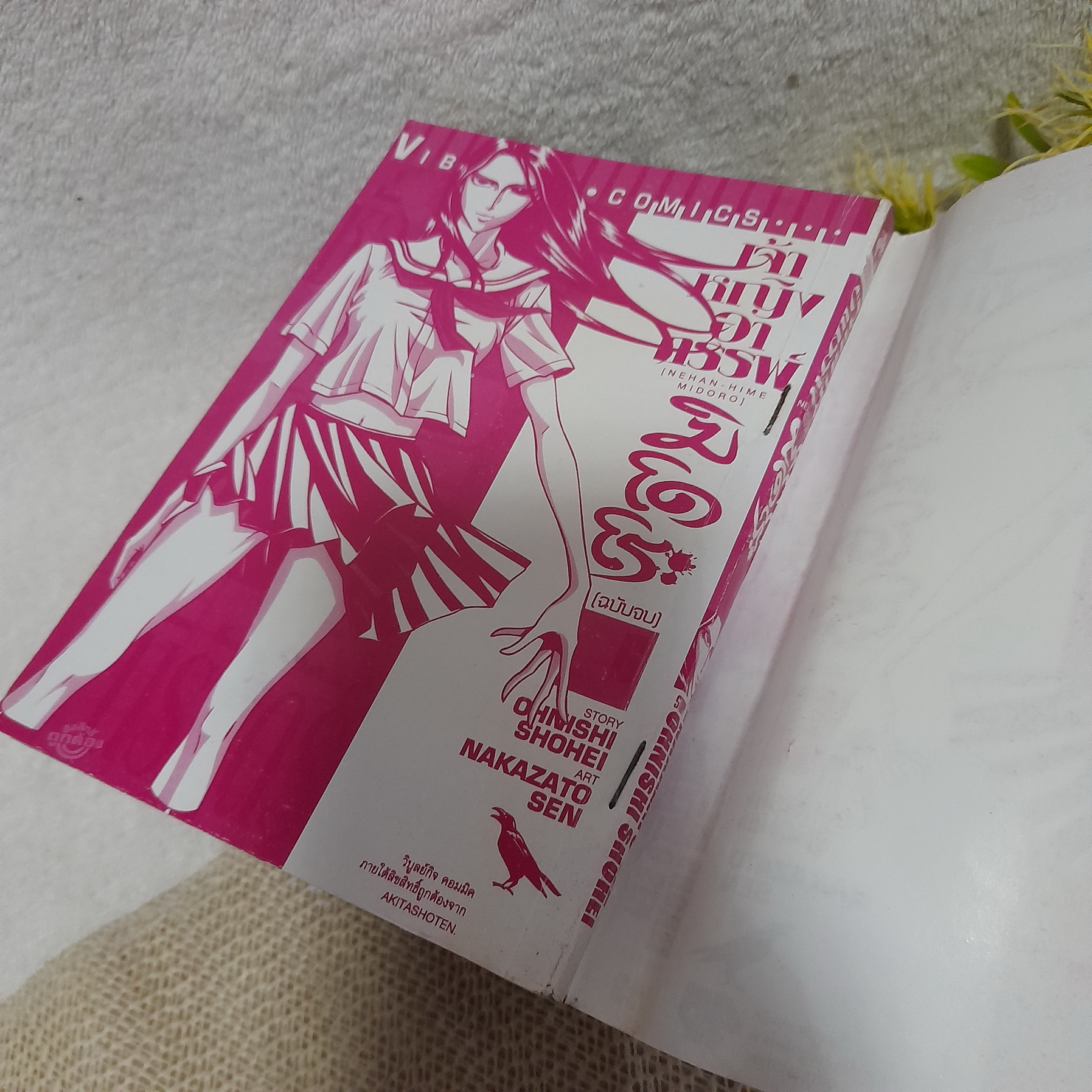เจ้าหญิงอาถรรพ์ มิโดระ 1-6 จบ