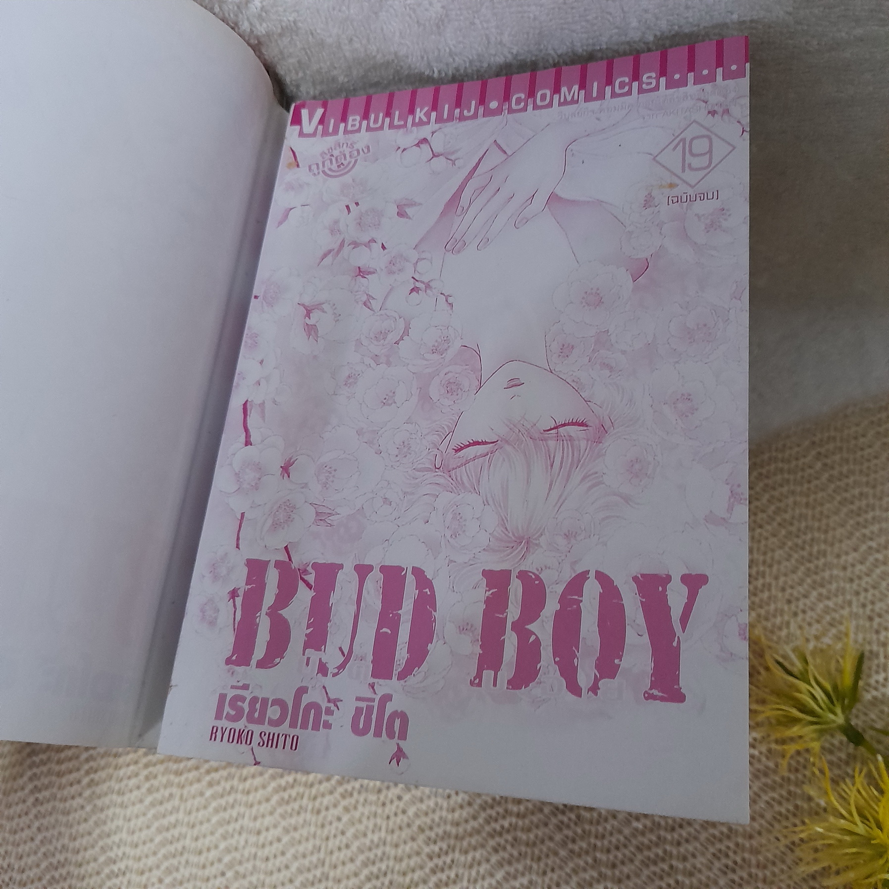 BUD BOY 1-19 จบ / * ขาดเล่ม 18 / Shito Ryouko