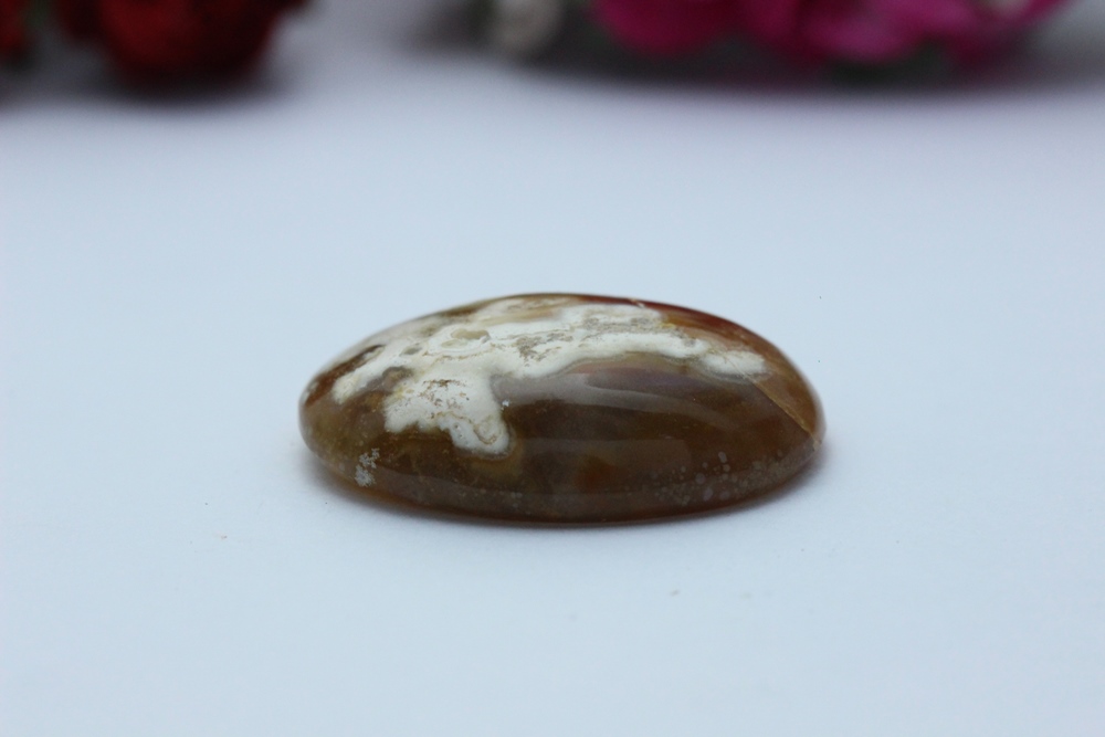 ฟอลซิลหินน้ำผึ้งลายสวย