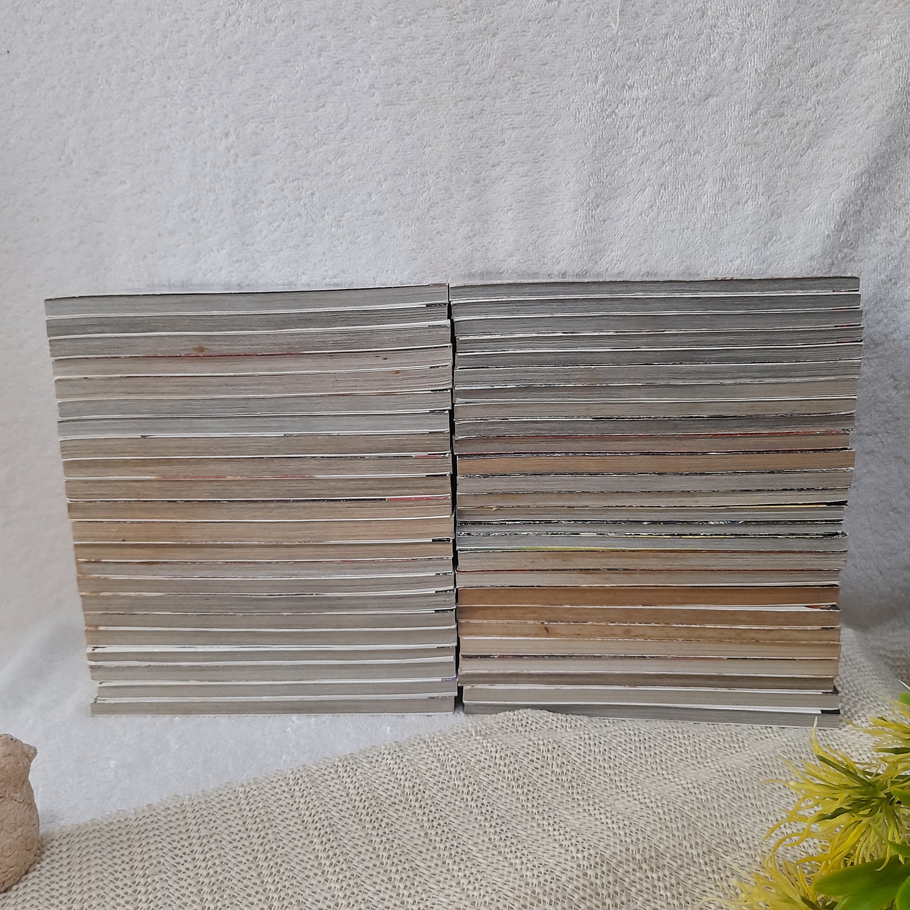 คุณชายพันธุ์โชะ โคฮินาตะ มิโนรุ 1-49 ไม่จบ / * ขาดเล่ม 50