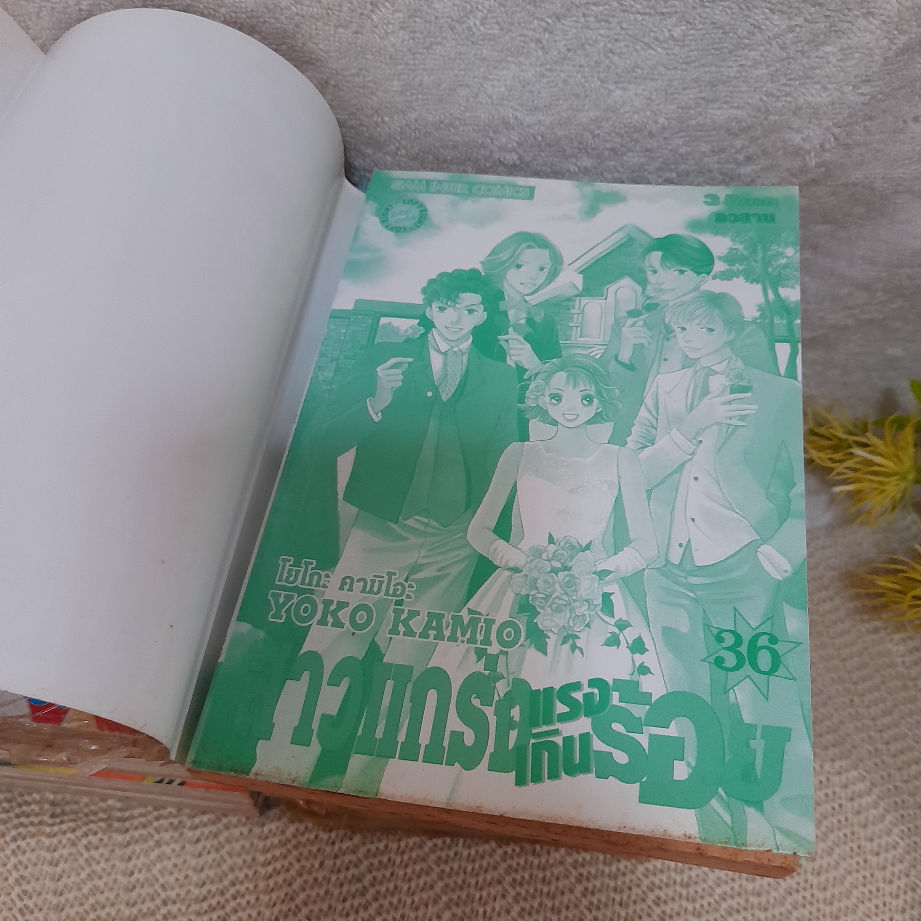 สาวแกร่งแรงเกินร้อย 2-36 จบ / * ขาดเล่ม 1,4,8,12,19,21