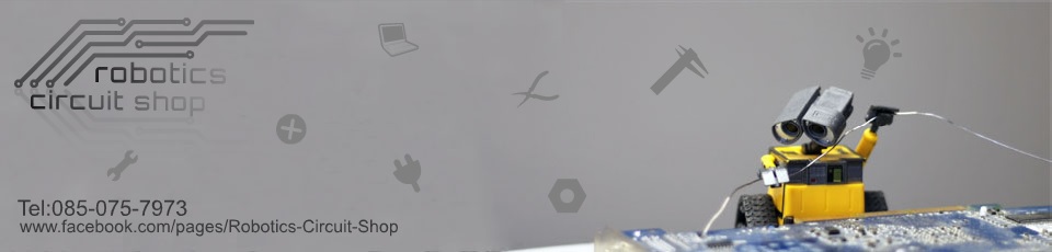 Robo Circuit