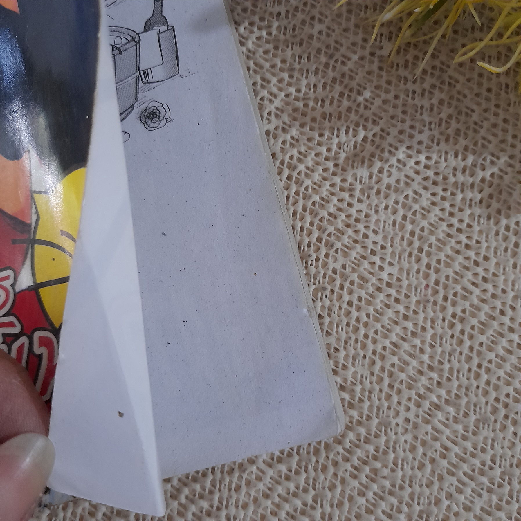 ซามูไรพันธุ์เหมียว