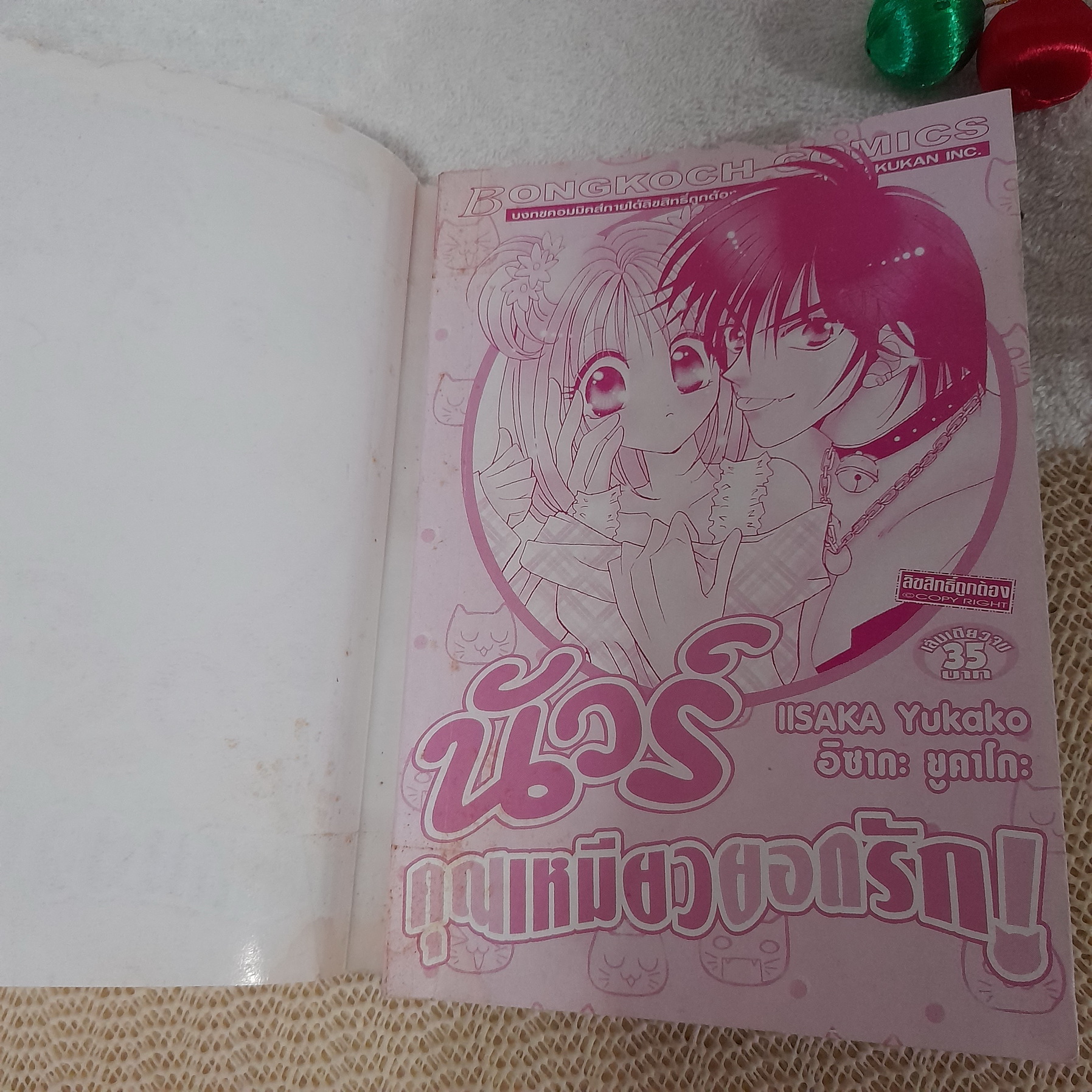 นัวร์ คุณเหมียวยอดรัก / Iisaka Yukako