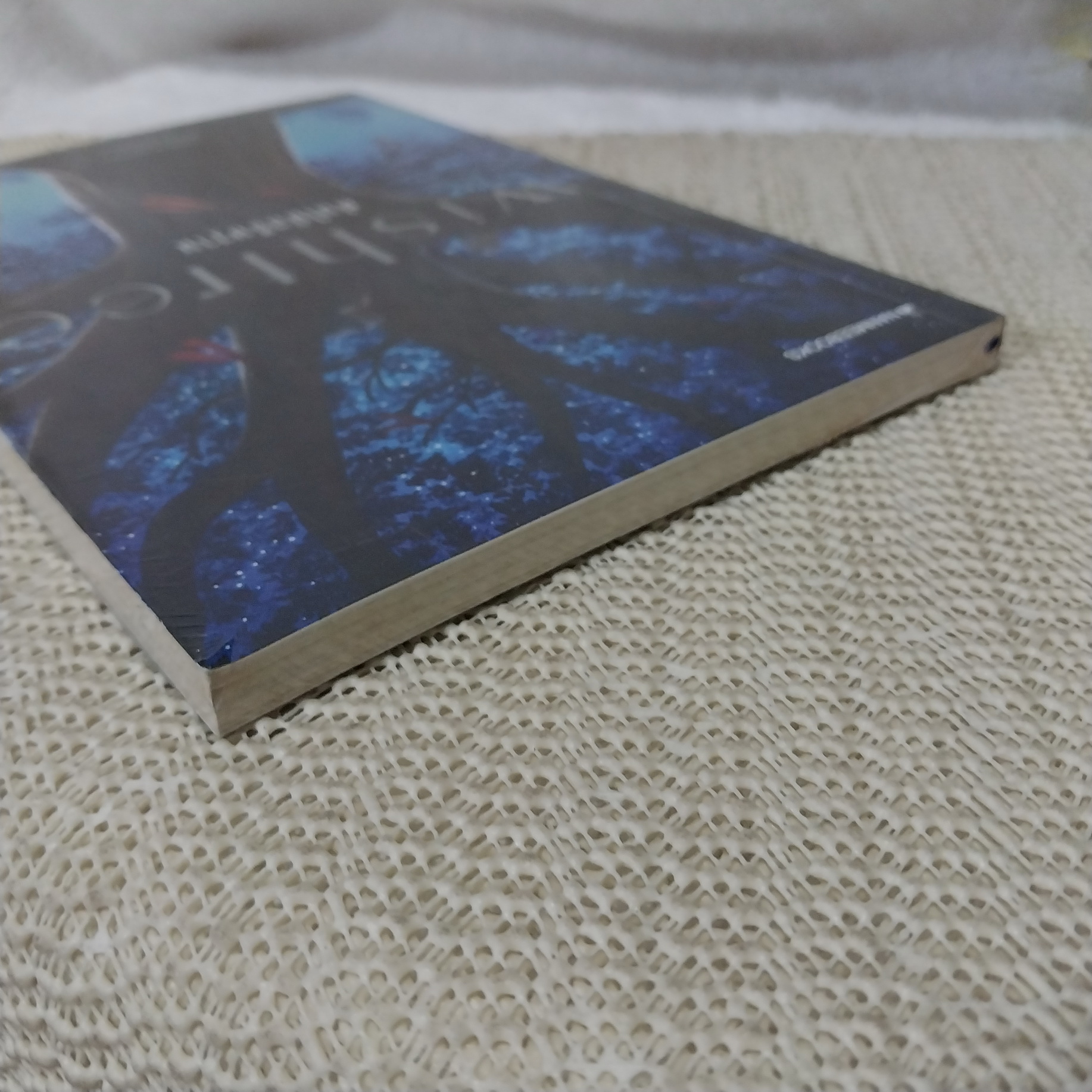 Wishtree ต้นไม้อธิษฐาน / Katherine Applegate
