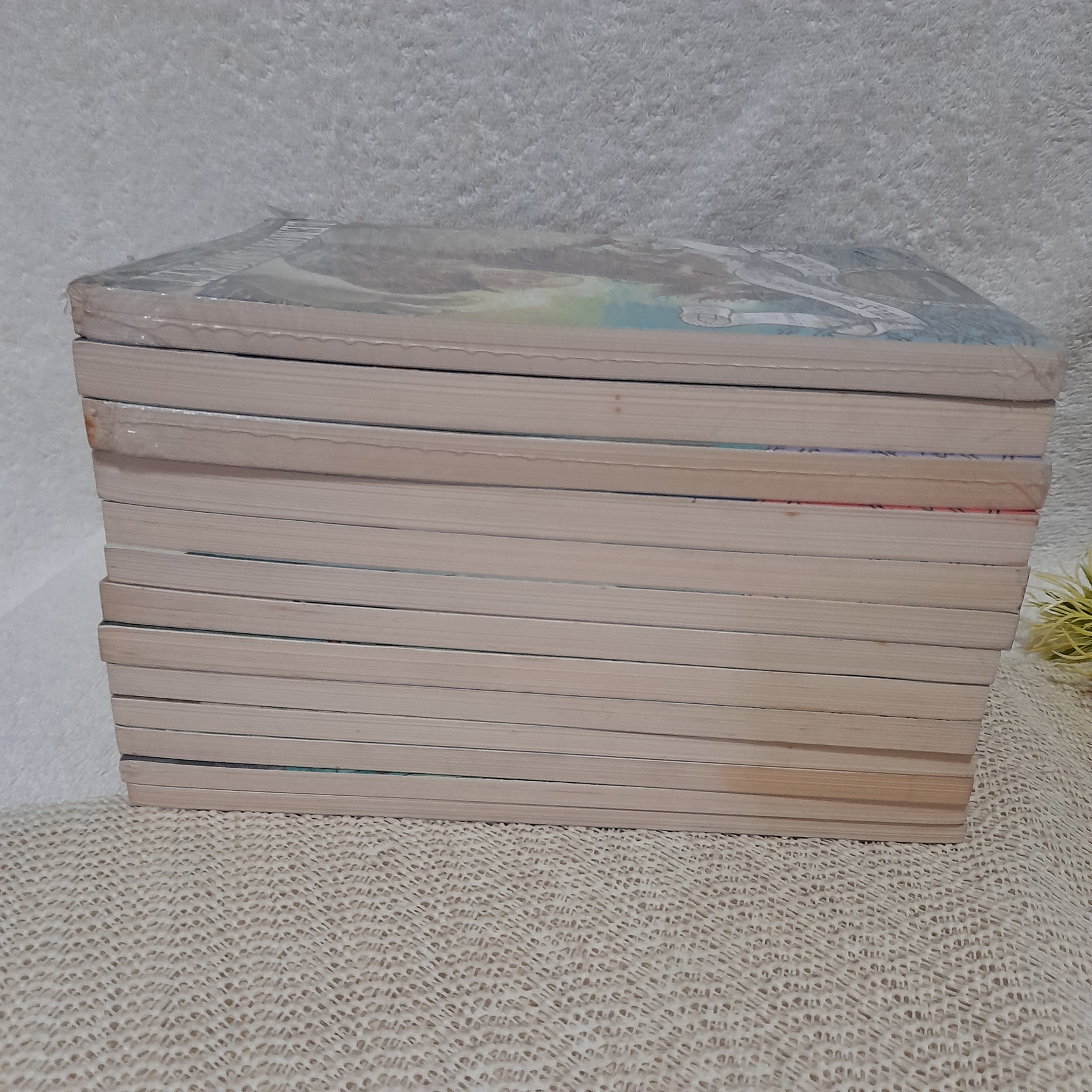 อยากให้เรื่องนี้ไม่มีโชคร้าย เล่ม 1-13 จบ (พิมพ์ใหม่)