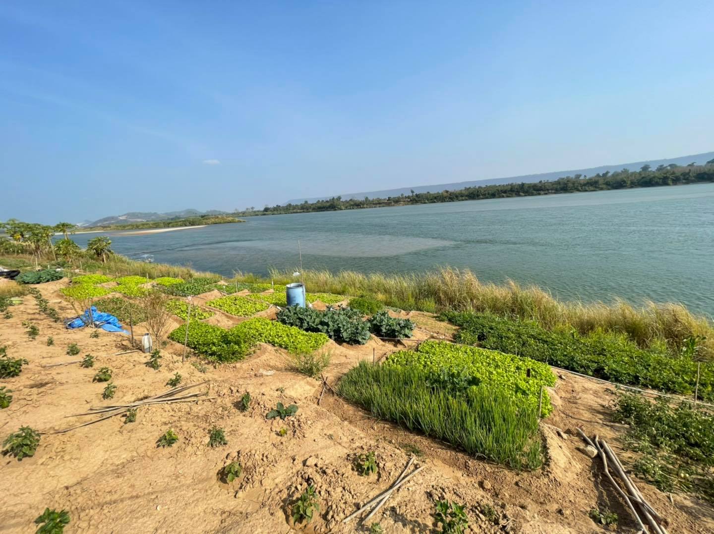 ฟักทอง ทอด อบ กรอบ หวานน้อย 150g.