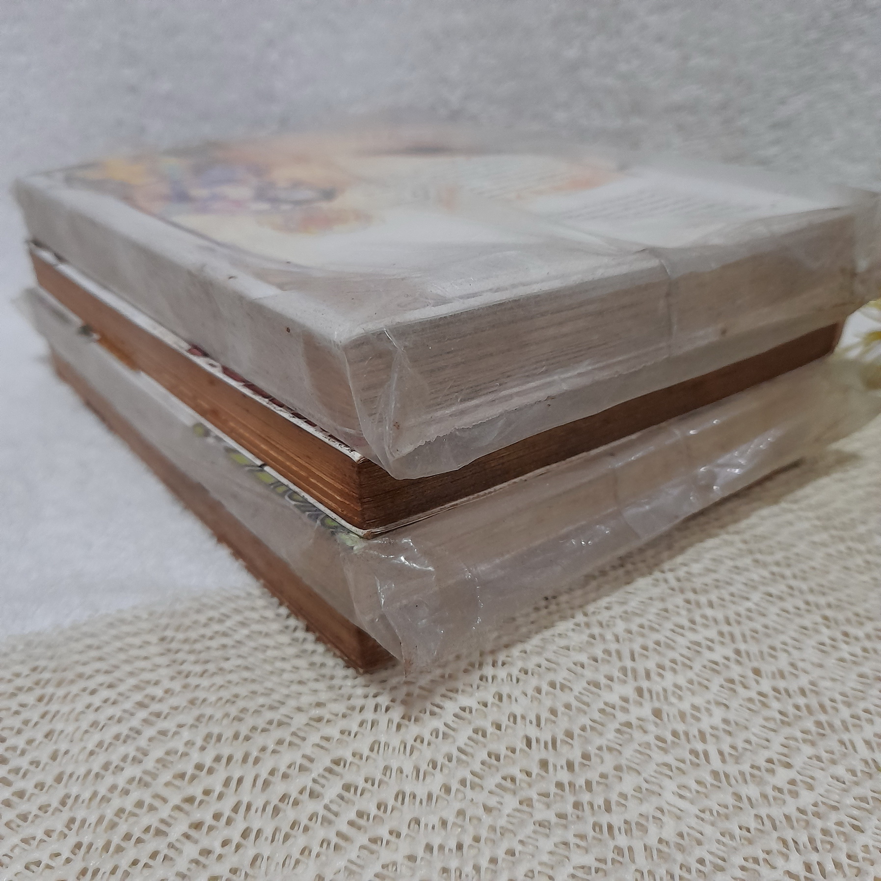 Stray Little Devil มารจริงๆ นะ 1-3,5 จบ / * ขาดเล่ม 4