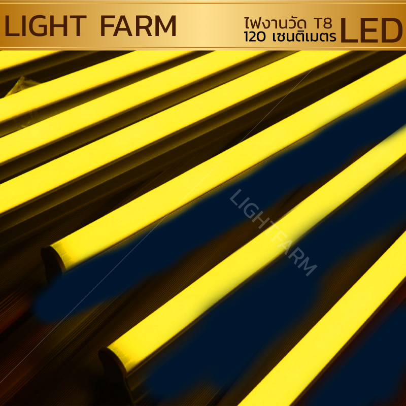 หลอดไฟงานวัด LED (ไฟนิ่งไม่กระพริบ) สีเหลือง / หลอดไฟ T8 หลอดสี