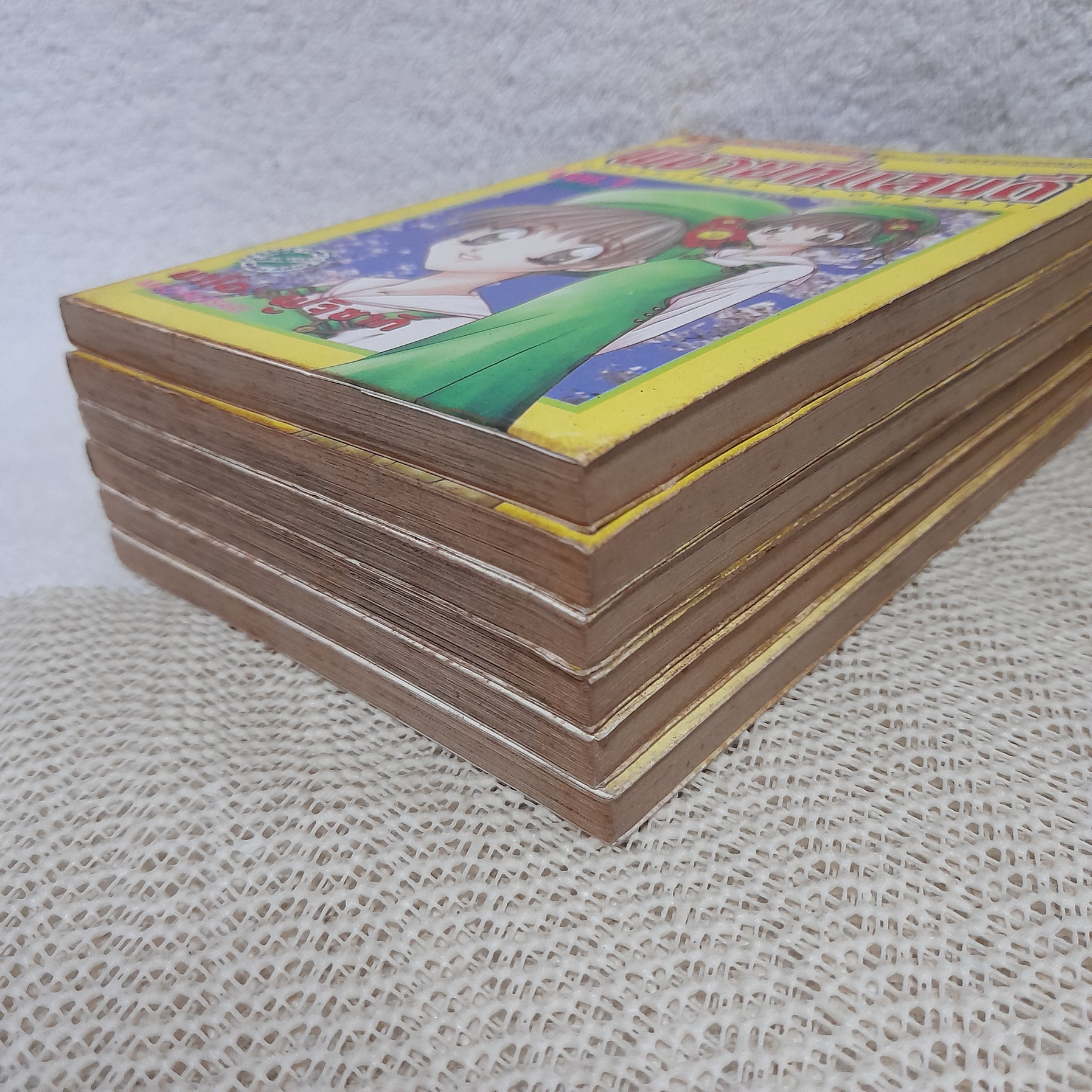 พี่ชายที่แสนดี 1-6 ไม่จบ / * ขาดเล่ม 7,8