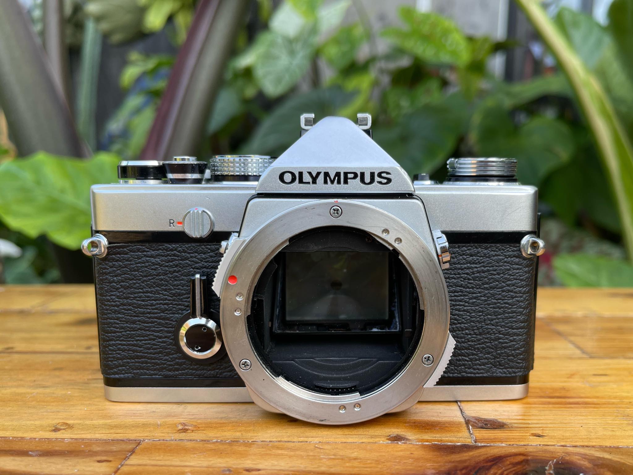 OLYMPUS OM1(BODY) OM MOUNT