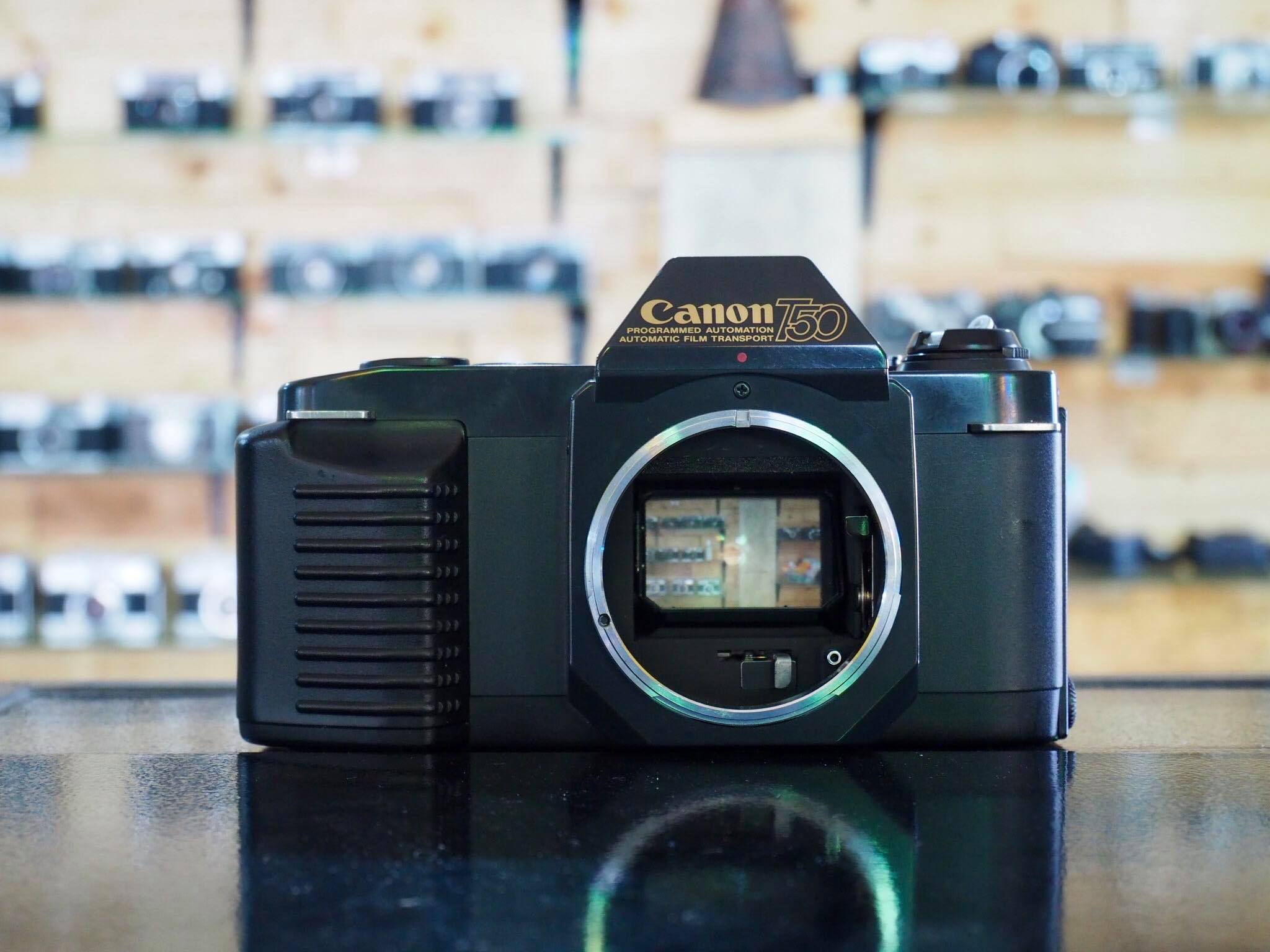 CANON T50