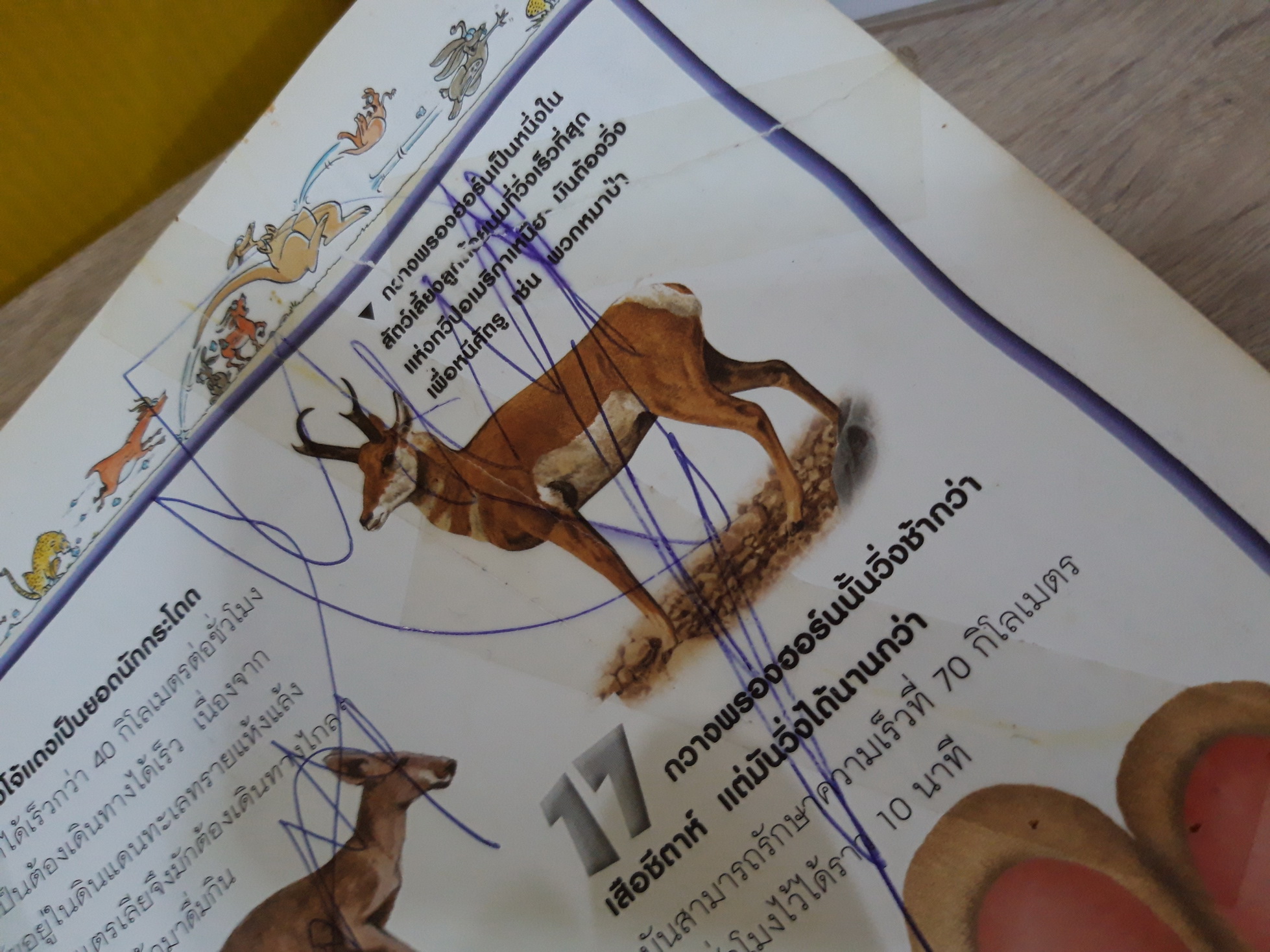 100 เรื่องน่ารู้เกี่ยวกับสัตว์เลี้ยงลูกด้วยนม