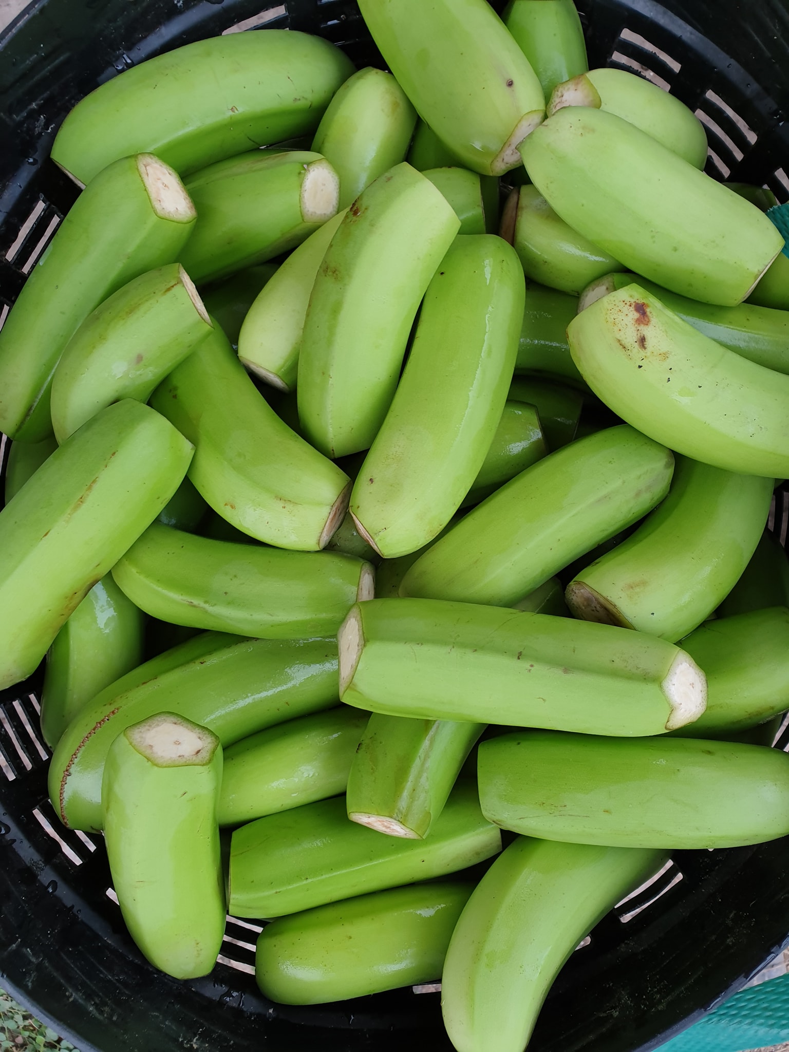 กล้วยกระทบเปลือก อบเกลือ เค็มน้อย 500g.