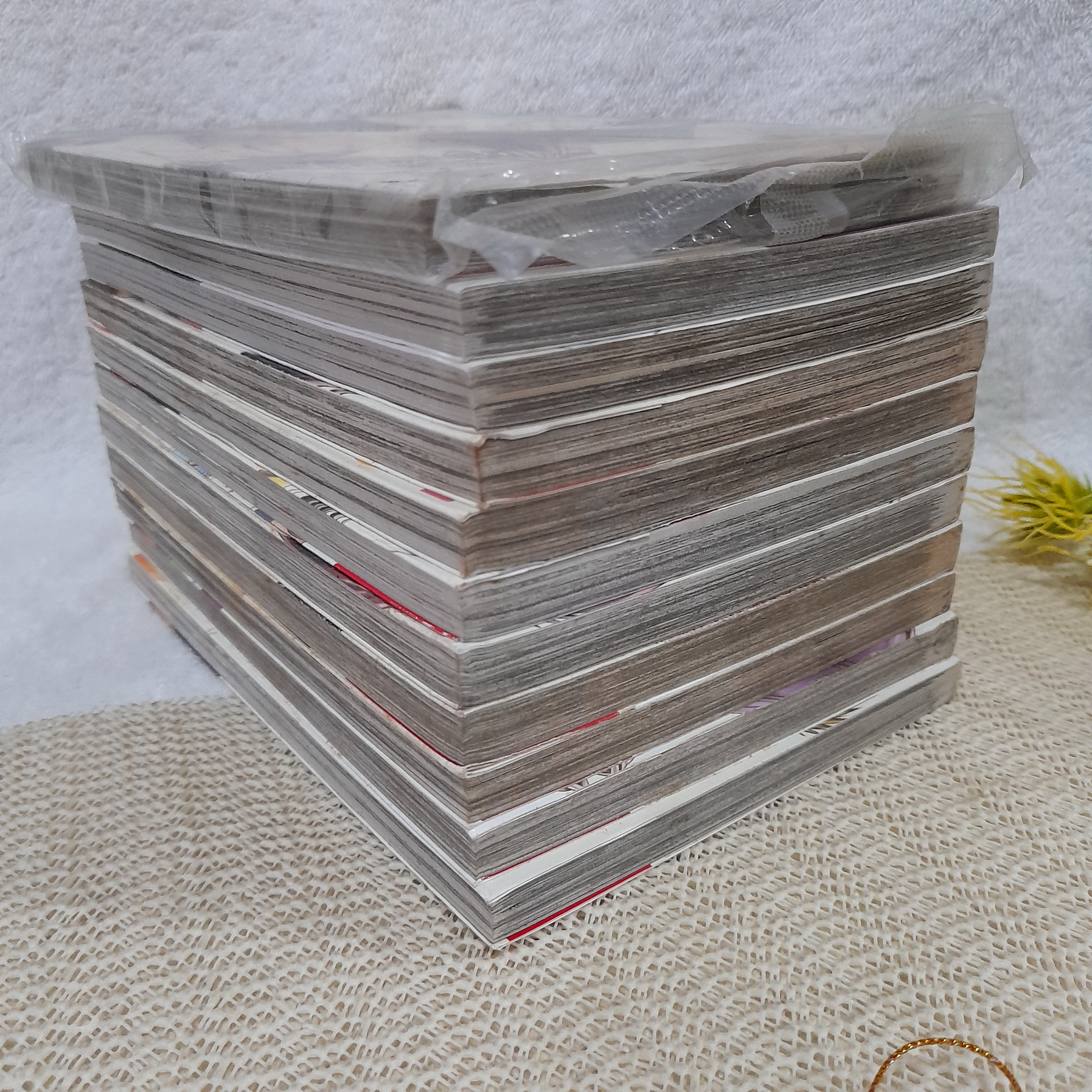 KARIN คาริน แวมไพร์สาวจอมเปิ่น 1-9,11,14 จบ / * ขาดเล่ม 10,12,13