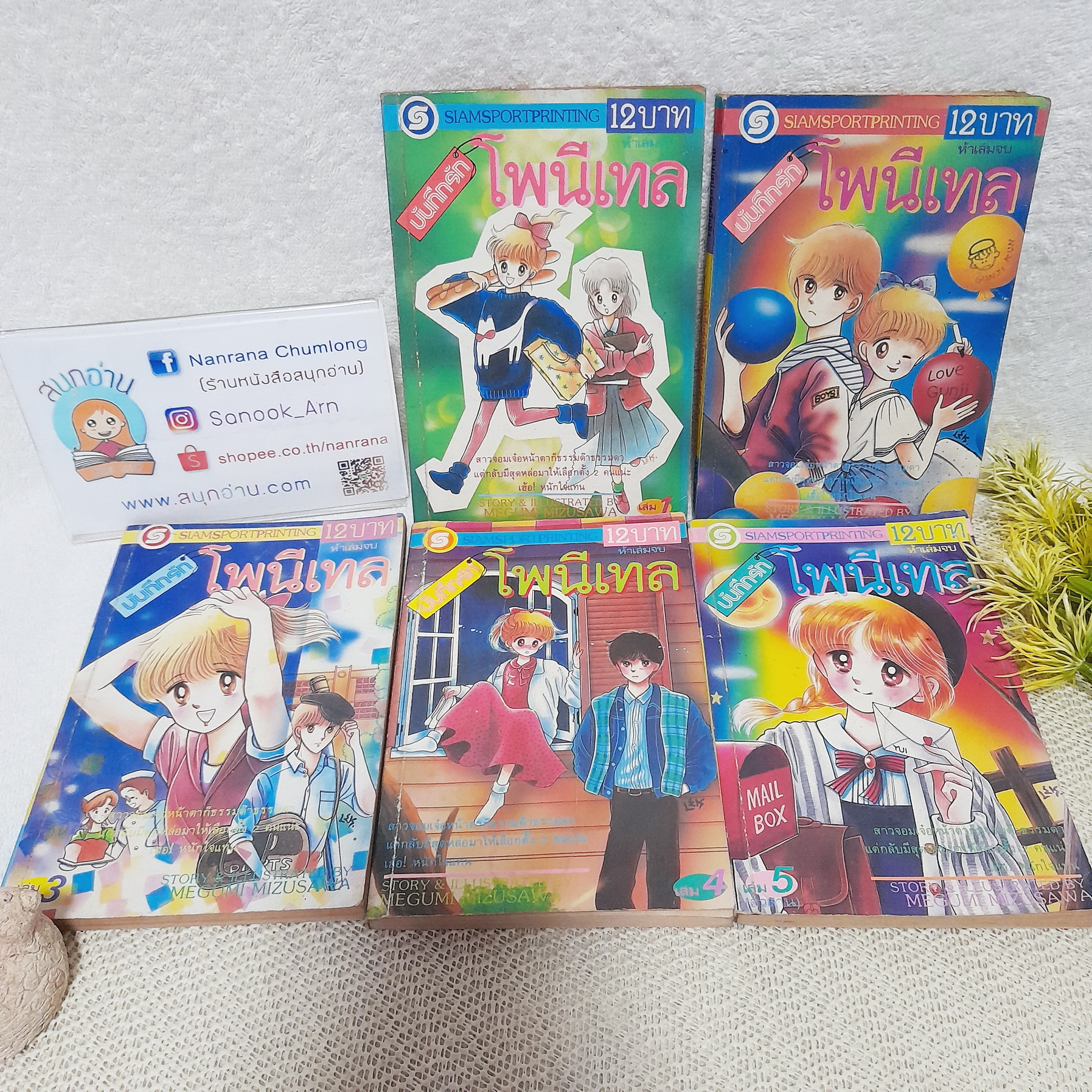 บันทึกรักโพนีเทล 1-5 จบ / Mizusawa megumi