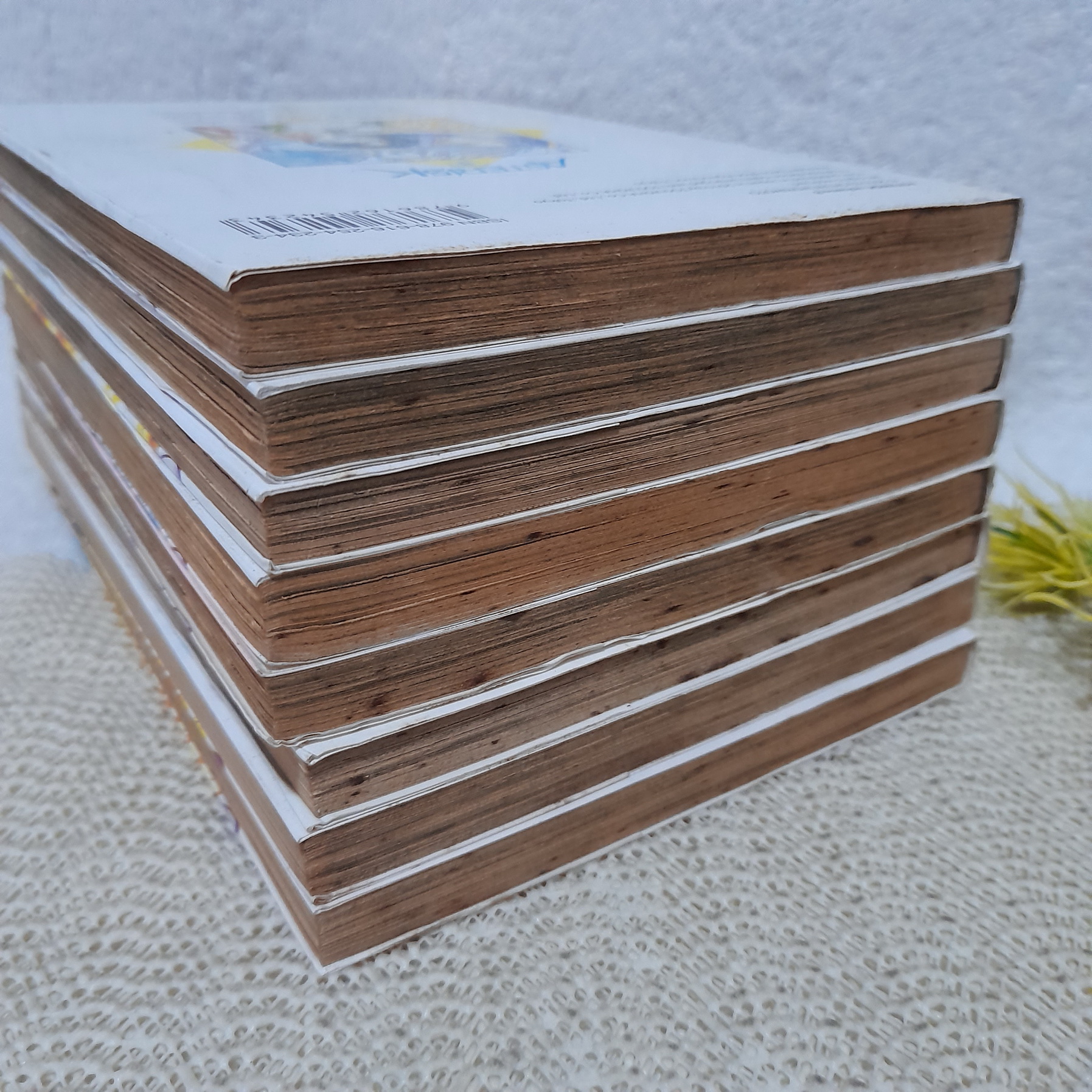 ASTERISK เทวดาผู้พิทักษ์ 1-8 จบ (การ์ตูน Y)