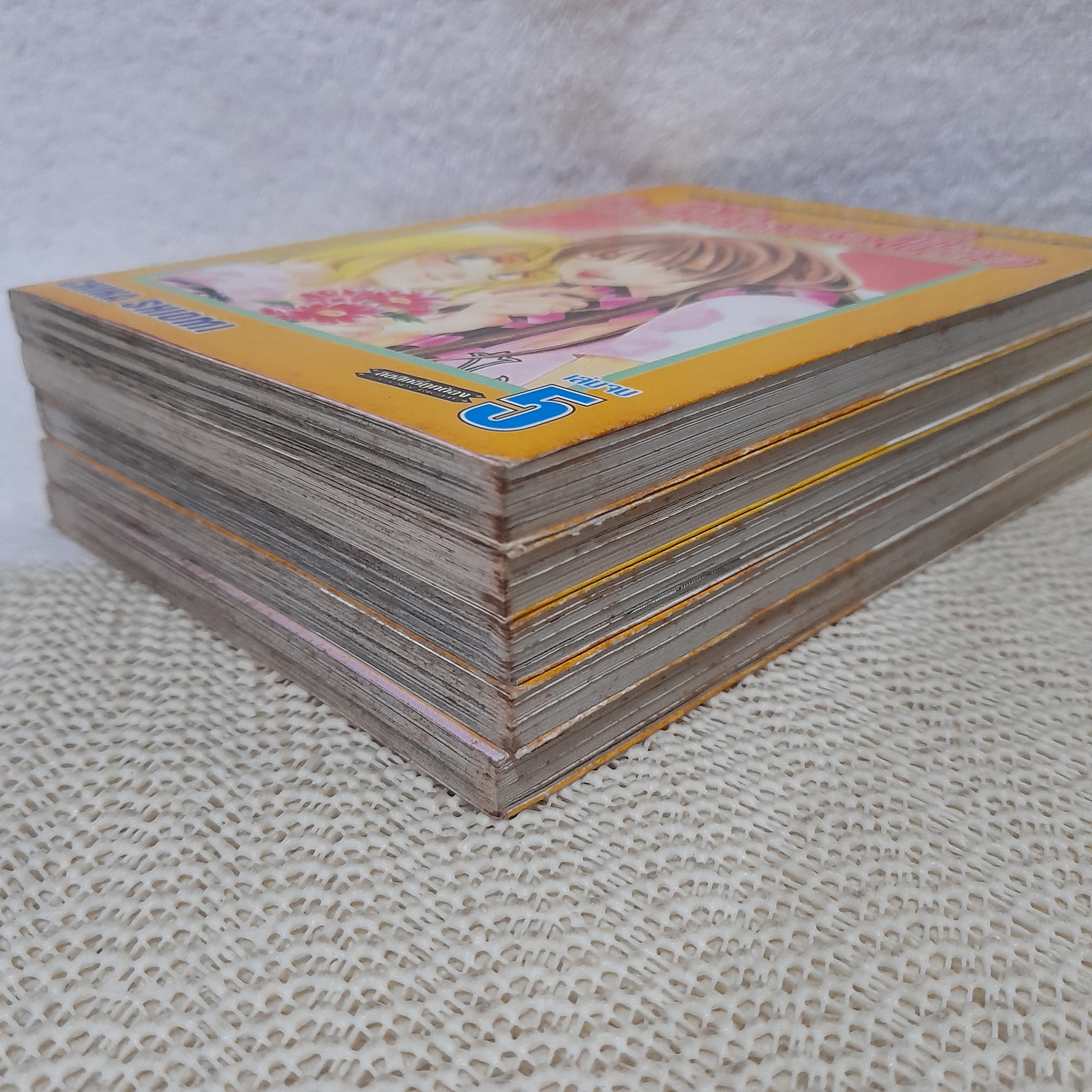 ก๊วนคนป่วนปราบผีอลเวง 1-5 จบ