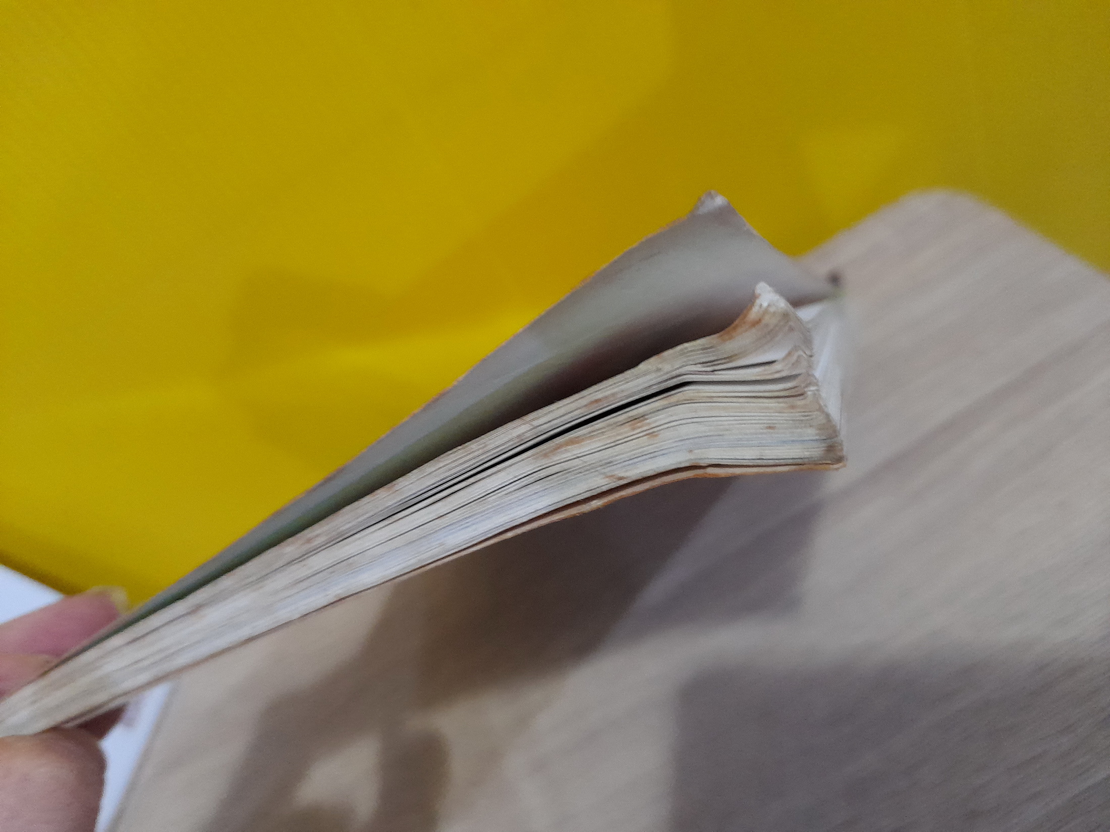 การ์ตูนความรู้ ชุด โดเรมอนค้นพบความมหัศจรรย์