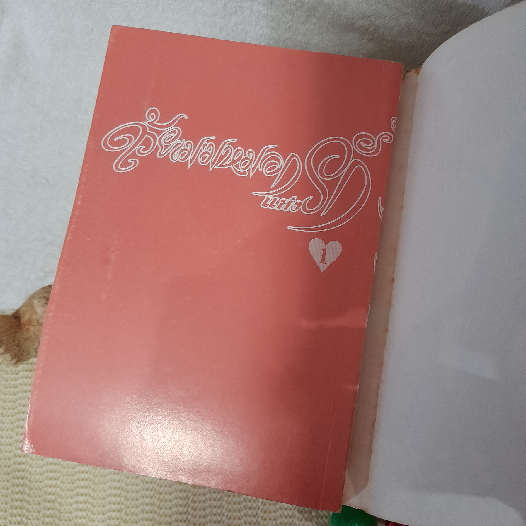 ด้วยเมฆหมอกแห่งรัก 1-13 จบ / Yamato Waki