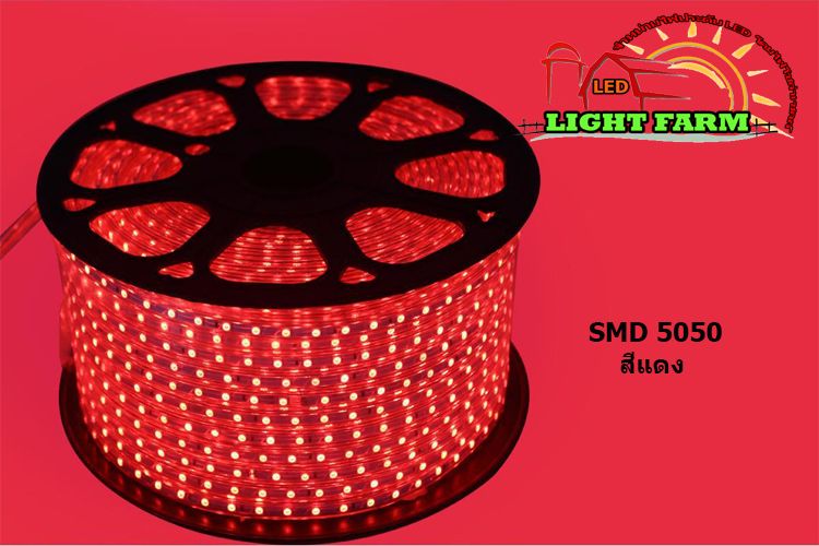 ไฟสายยาง SMD 5050 (50 m.) สีแดง (ท่อแบน)