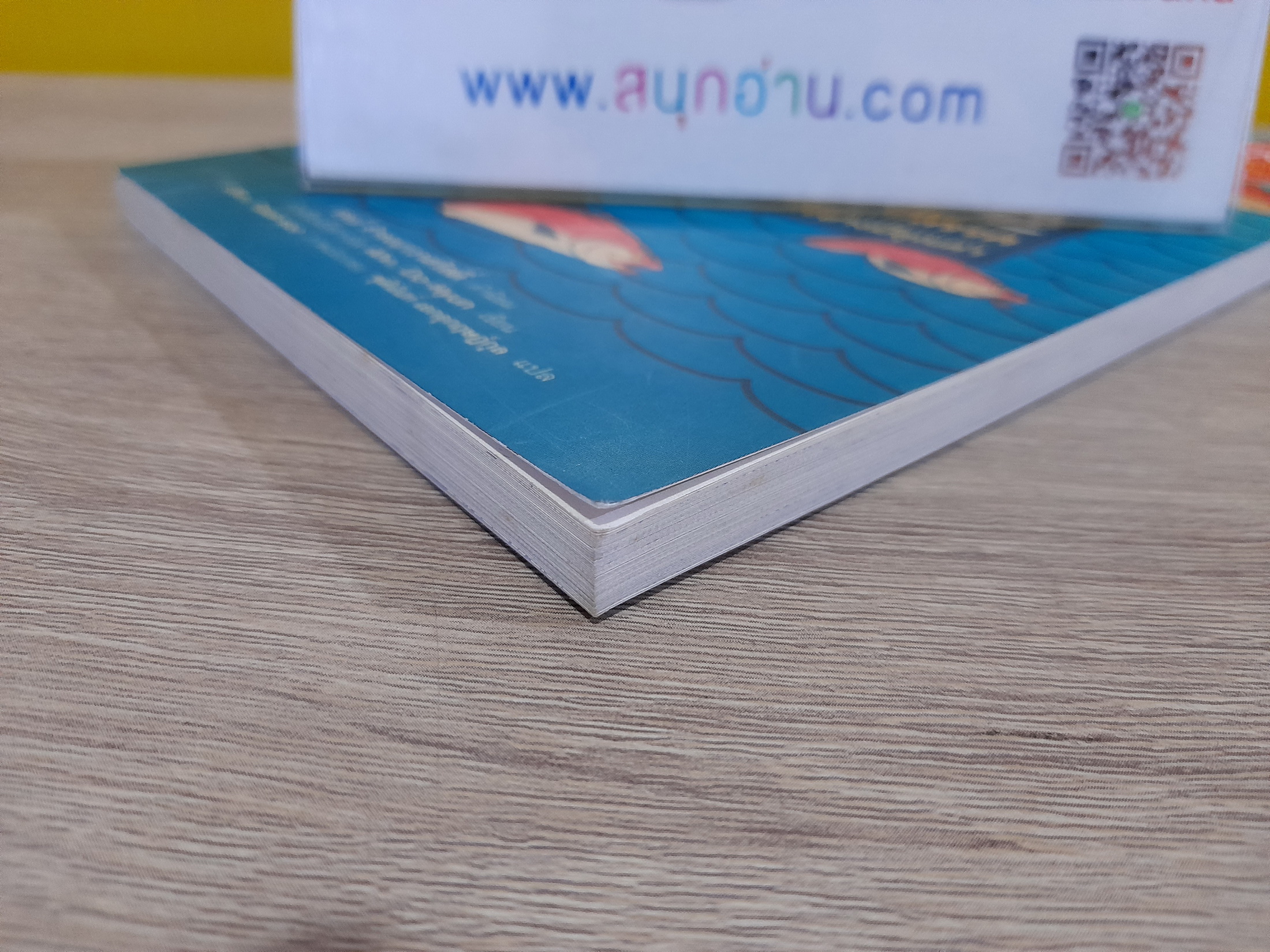 Salmon สอนคน / Ahn Do-Hyun